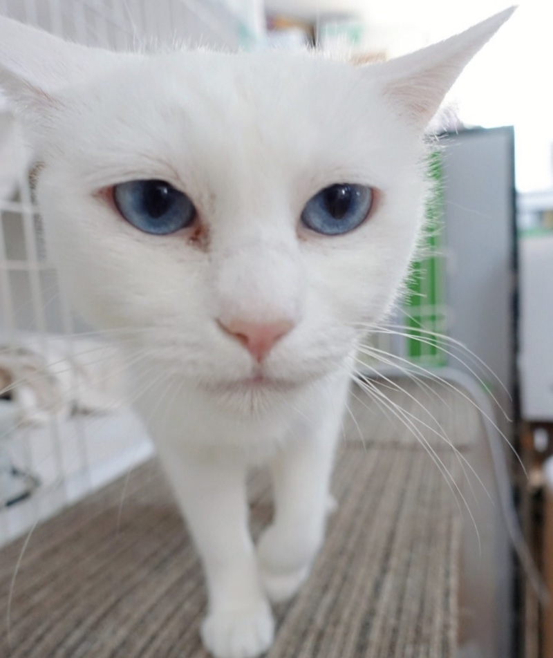 F8776C5F-2E71-4E3A-B42B-E5936ABA32D3