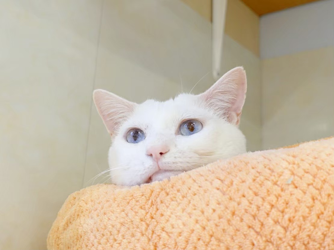 B83F0FD1-1C14-491A-94DC-A38D043EDD97