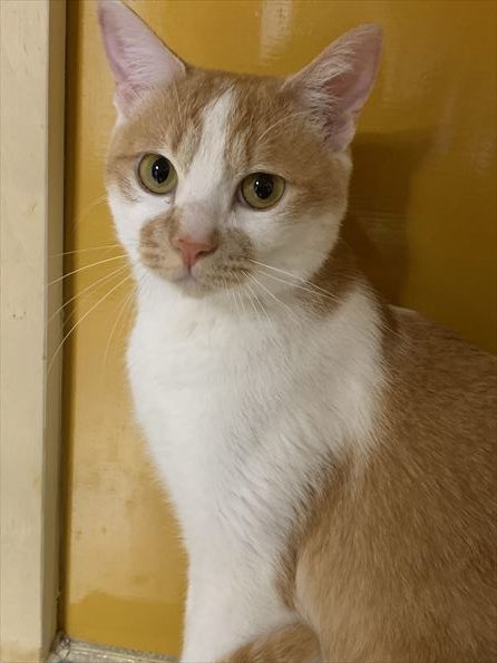 5AA01029-4017-45FE-9E8B-59B70AF354C8_R