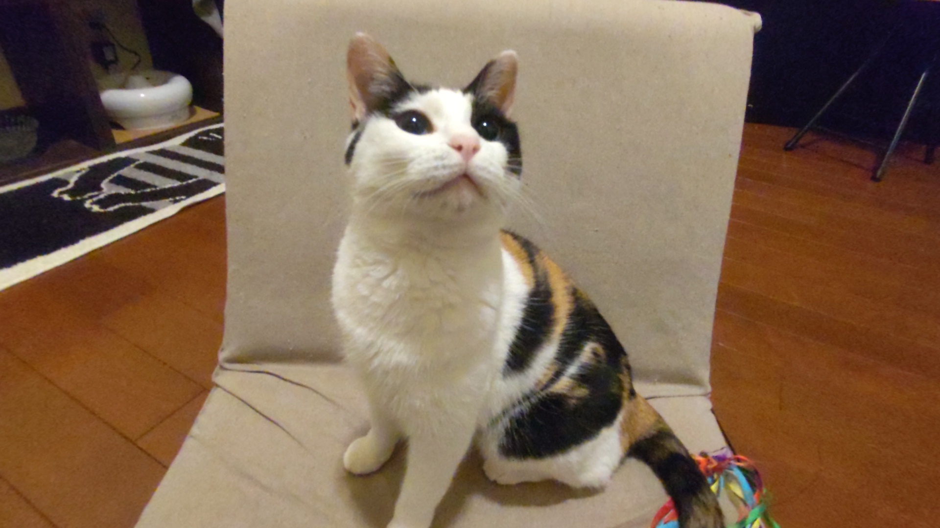 STORYPIC_00020733_BURST210718222530