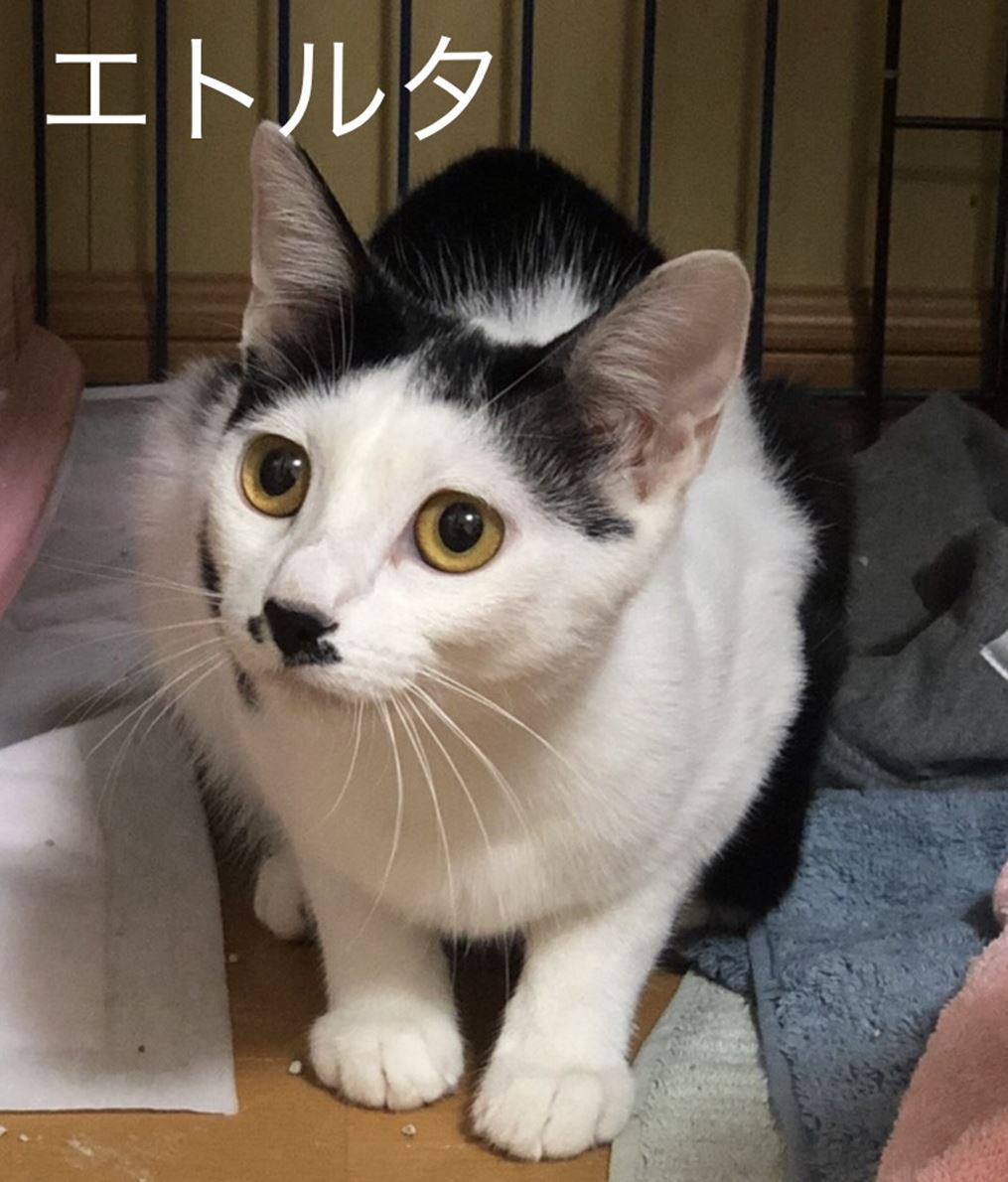 292FB52B-EC5B-4617-B306-E27A23547580_R