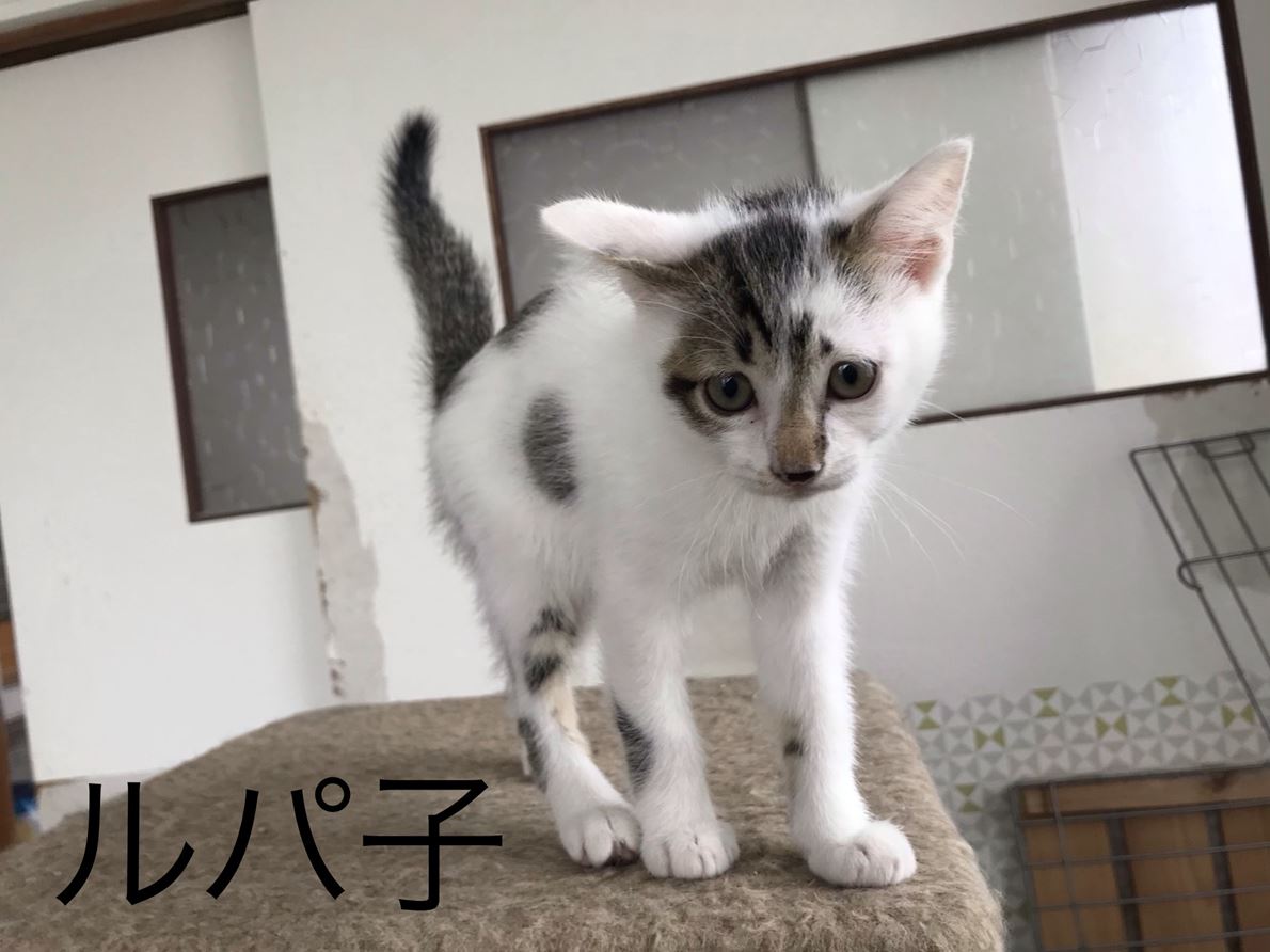 5F59B2CD-D8BB-4935-B2AB-E0FDD80A7D8F_R