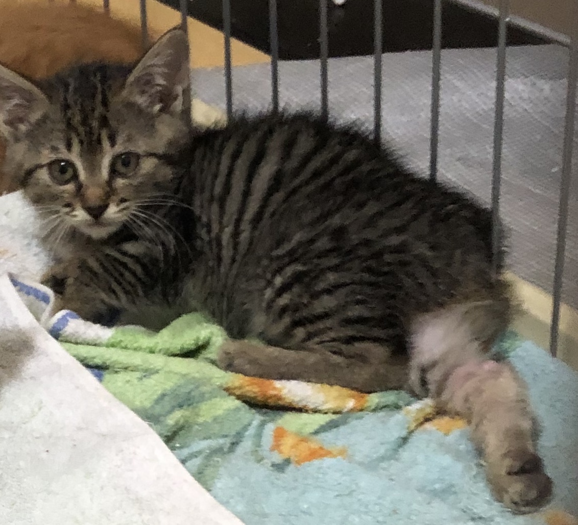 63617F90-1BF5-4EA8-8BA0-1E86A13D1A41