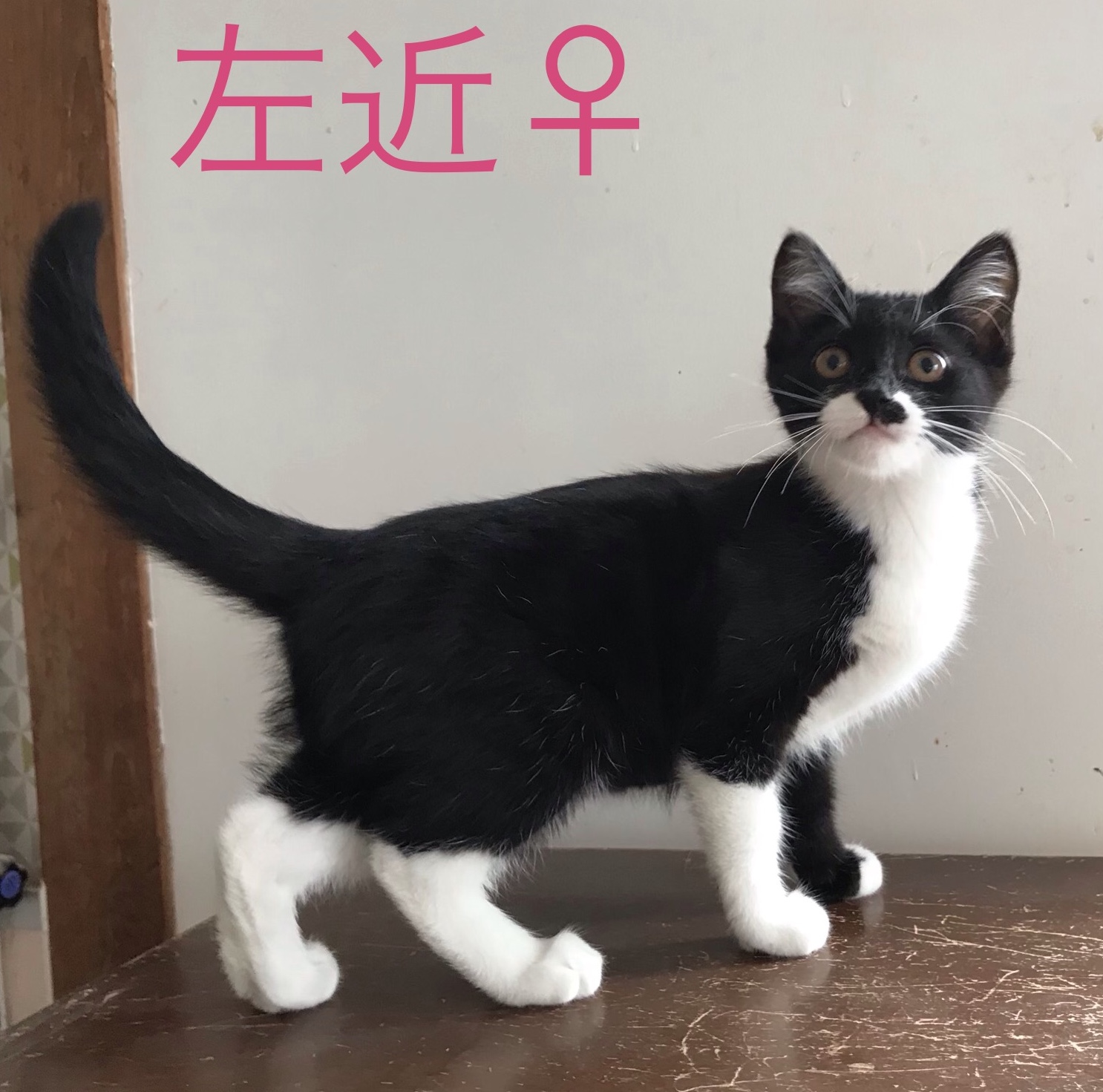 835A8415-721E-41E3-8500-0CF310E7590F