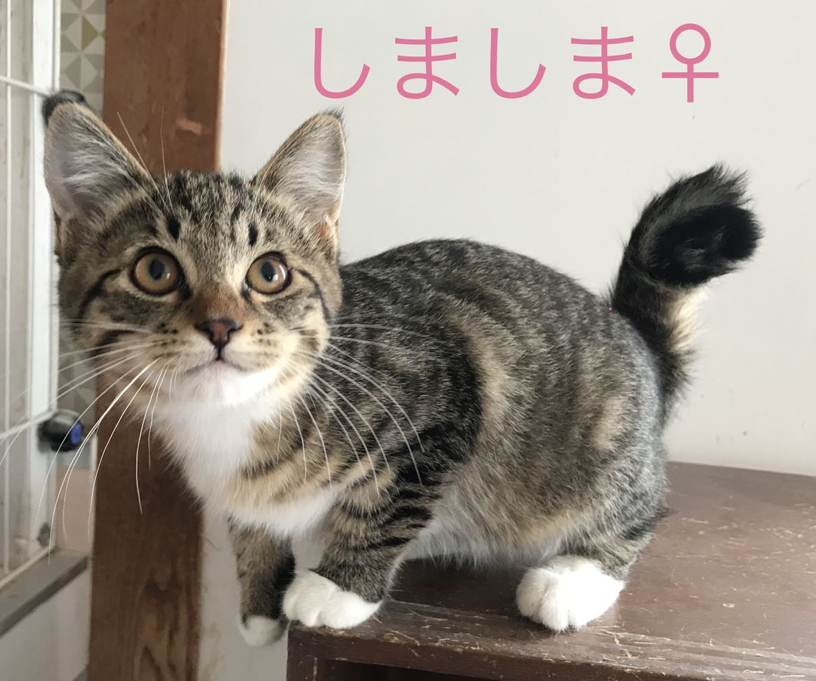 90F82D5B-E5C9-4A85-9B9F-745398F4D621_R