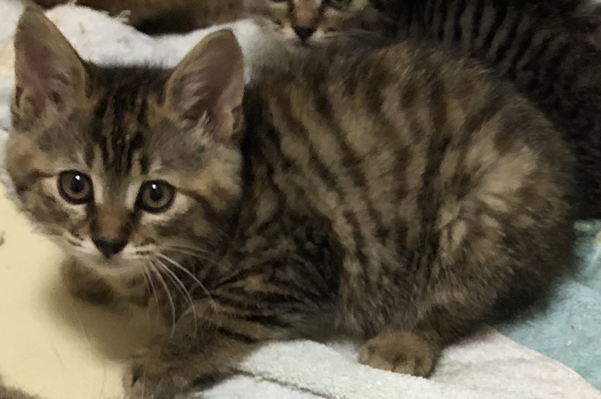 9D280C40-0B32-4F01-859C-C37ED288F6F4