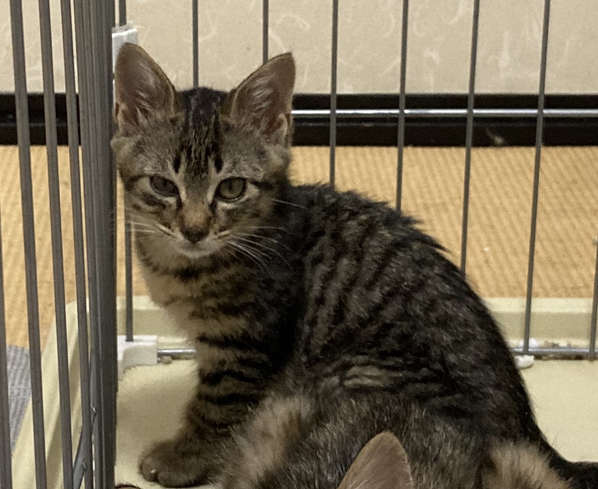 B1ADFC27-871D-4C2C-A29C-E51C572B8FBB