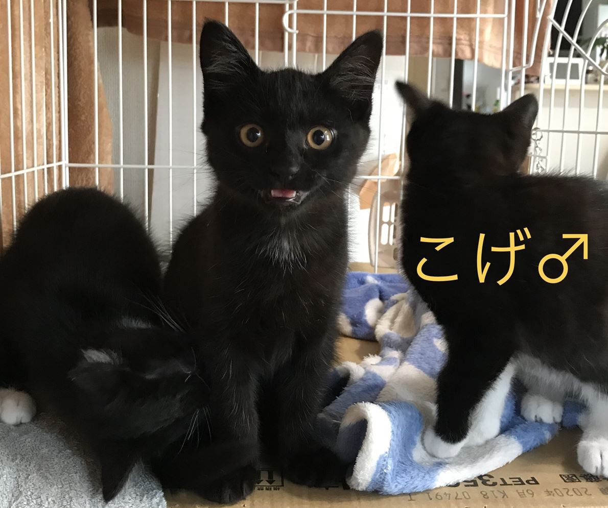 BD636F7D-1FCC-4CA7-A47E-57B647B9E7B8_R