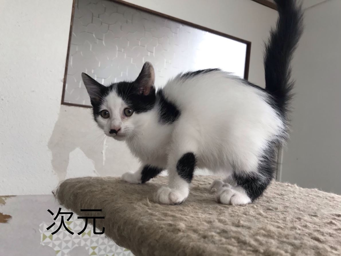 CFBADC50-54A1-4DEB-9833-5EA2590B509B_R