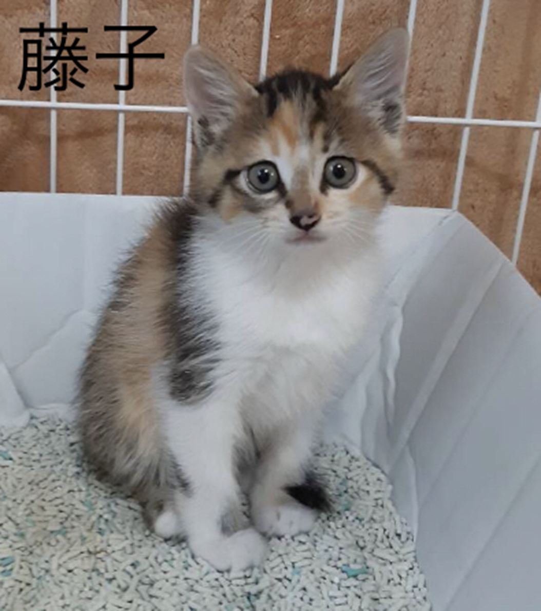 D46F467C-BCE7-421C-9024-B8CCE4538EA8_R