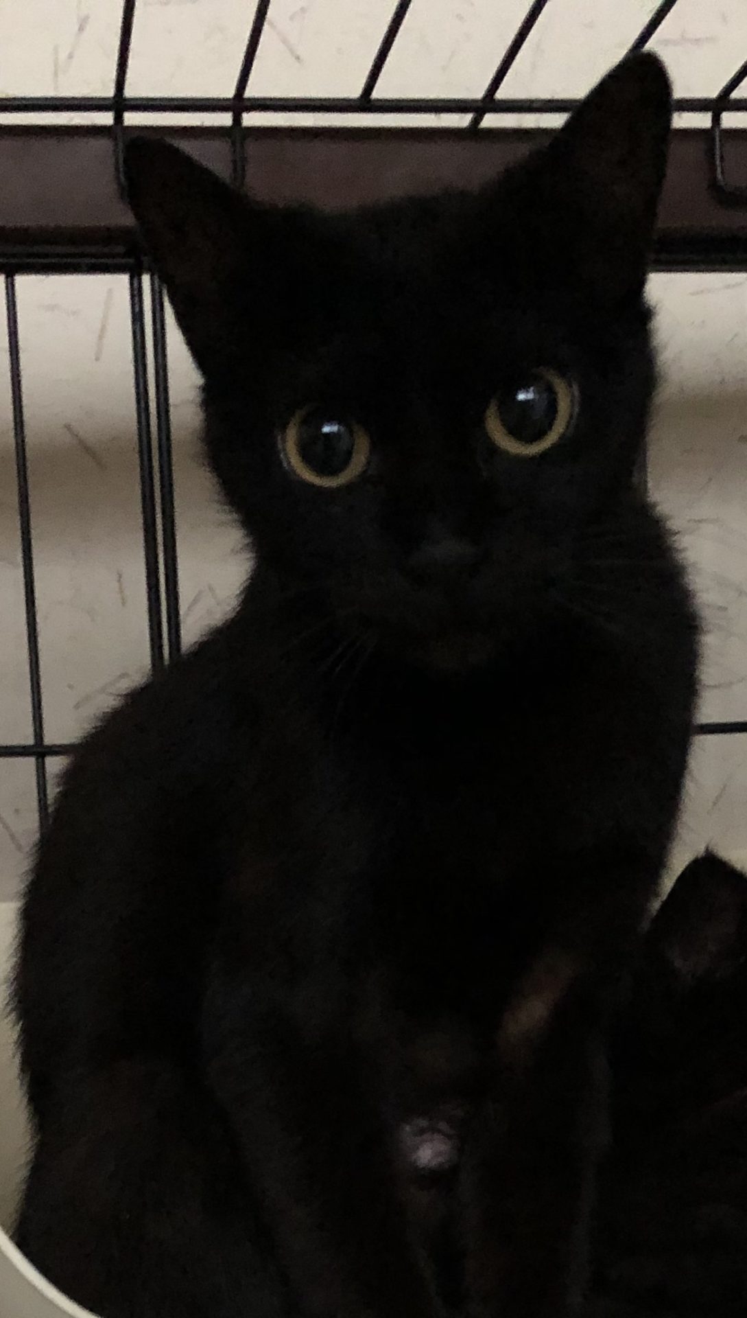 44AABE0E-9D20-4A4F-82C6-F3B36862B3B8