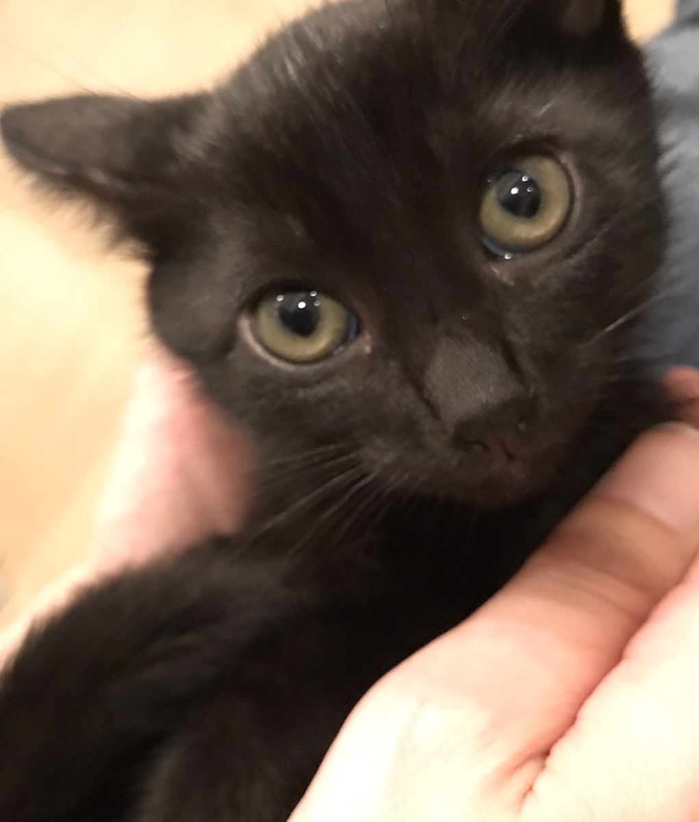 A0614C6D-65AC-4A8F-87F4-A41C62001EAC_R