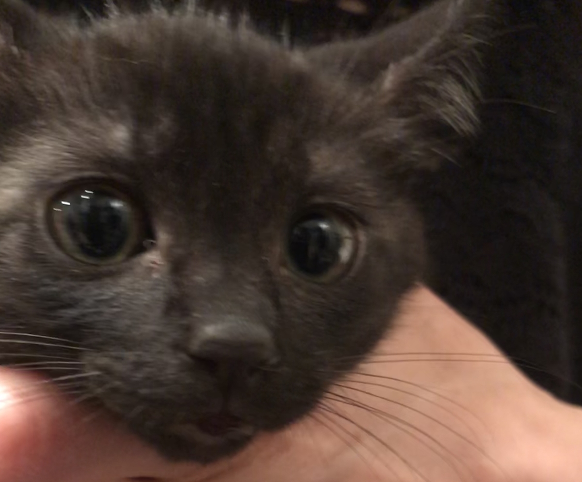 C85ED9C3-7D6D-4969-AABE-D9FED35559AF_R