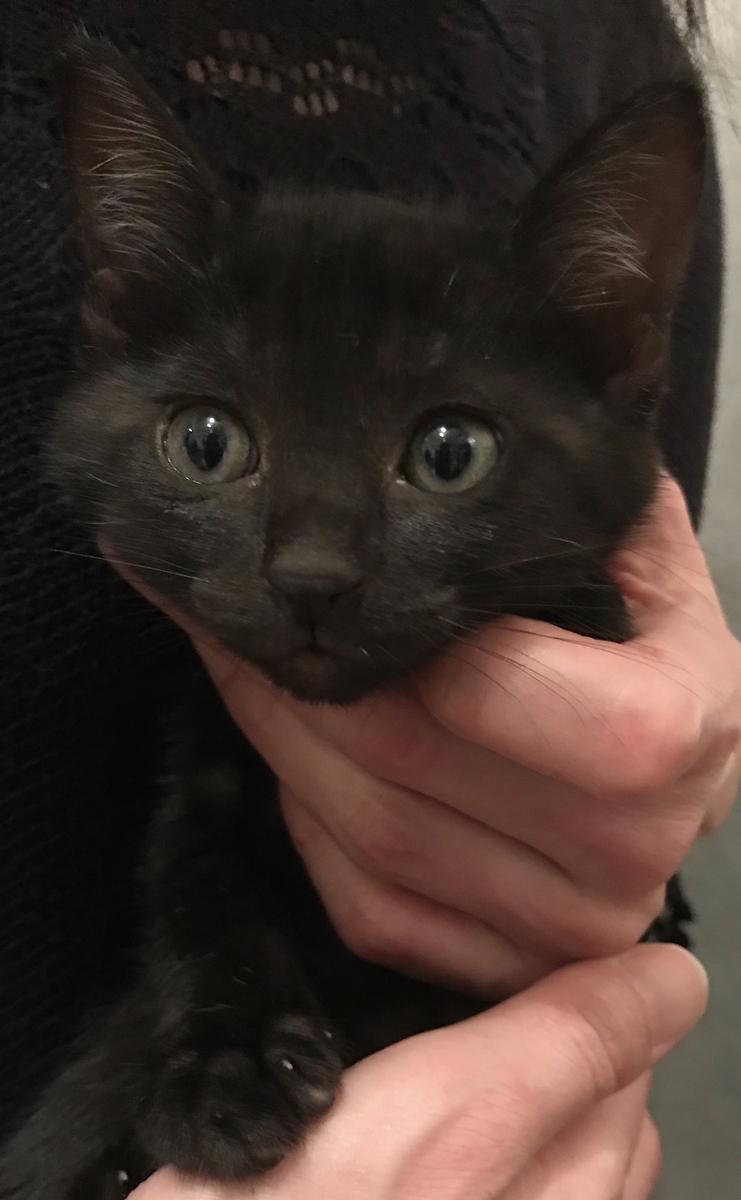 F5CFC92E-97B2-46C6-8636-492839715759_R