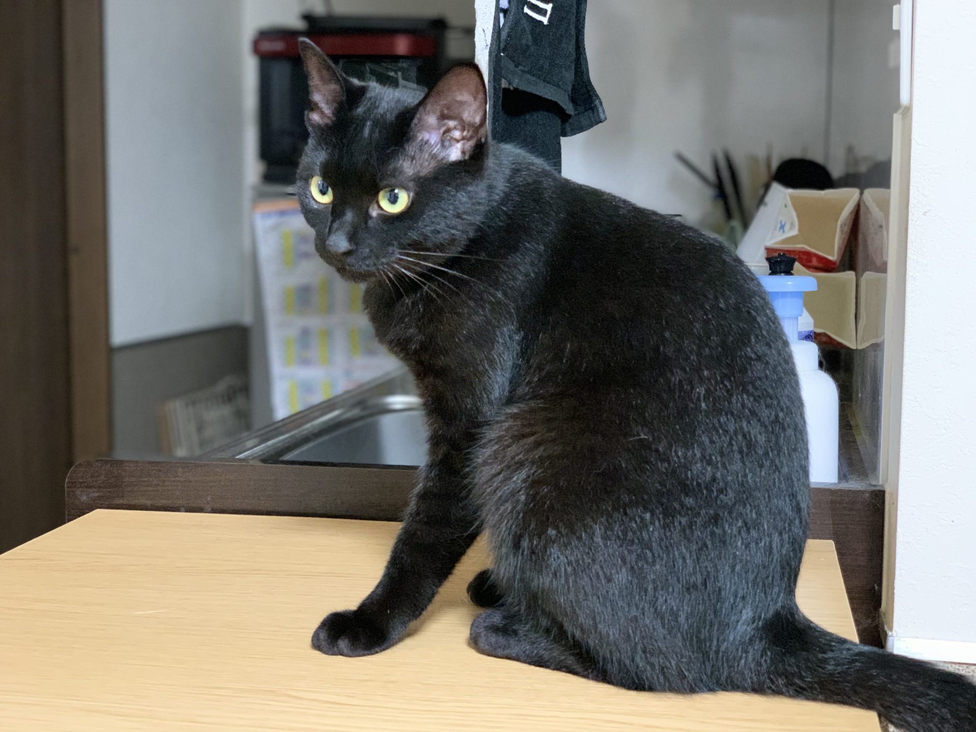 02CCC997-6858-47D4-8DC4-4A6F696FB107