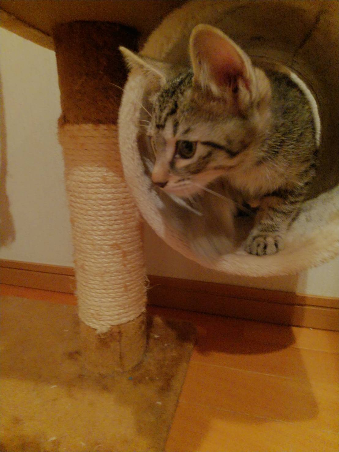 04A9035C-8202-43C0-98A1-BF85D7AC853D