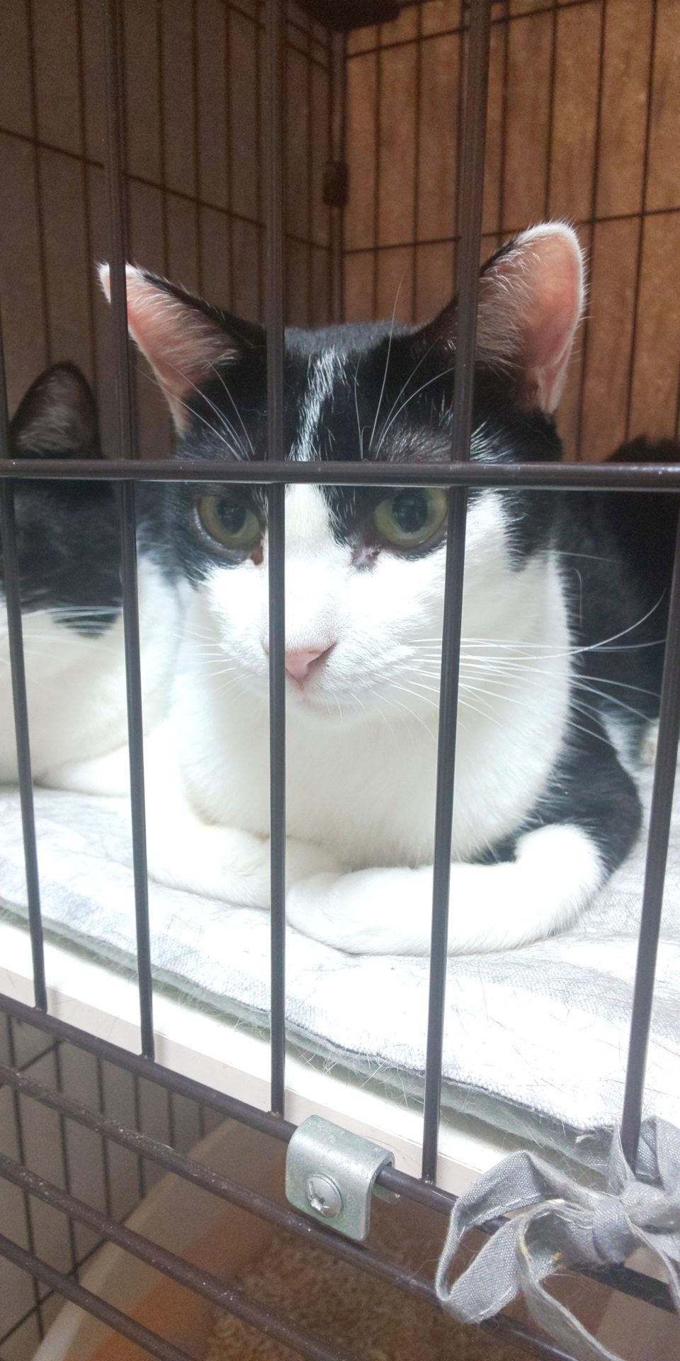 200917_075102_00009232