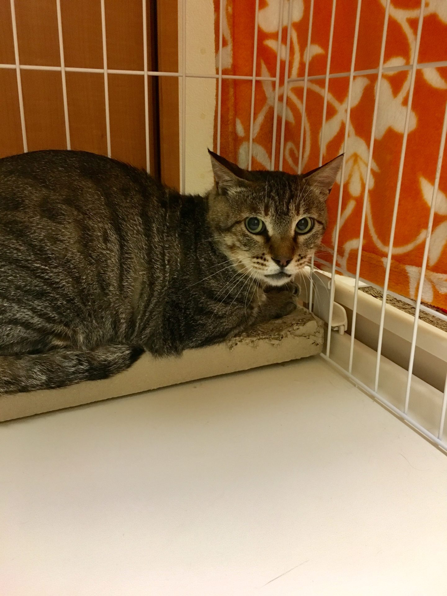 8628EBA1-1AF8-4E21-8168-BA9A1CF325F3