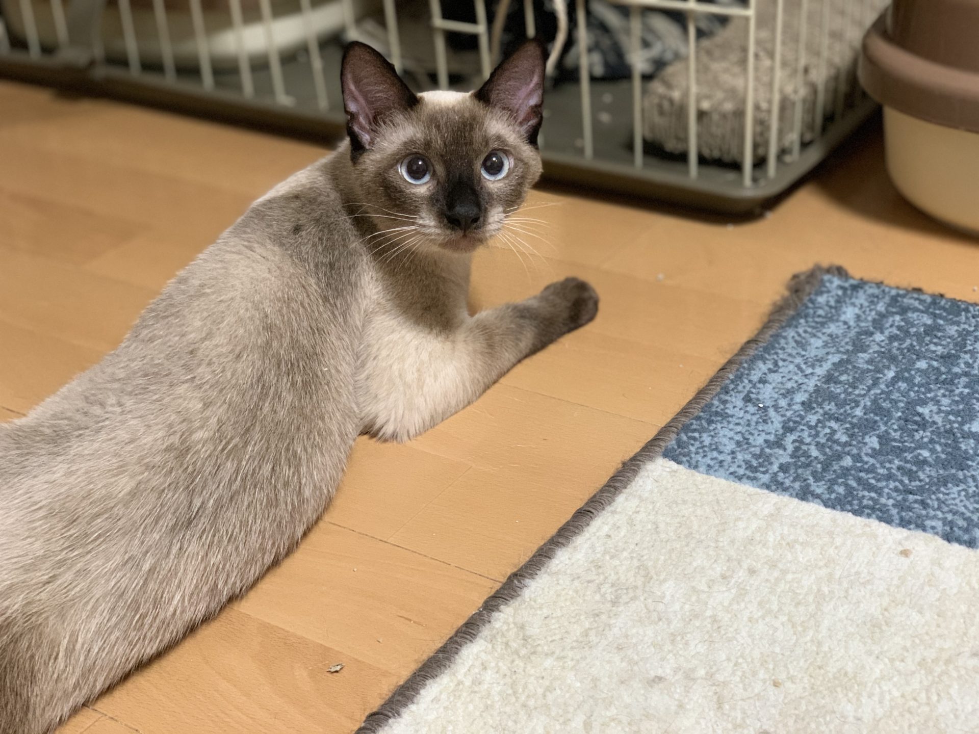 8EBDA00E-8852-40DC-B200-39D733523A71