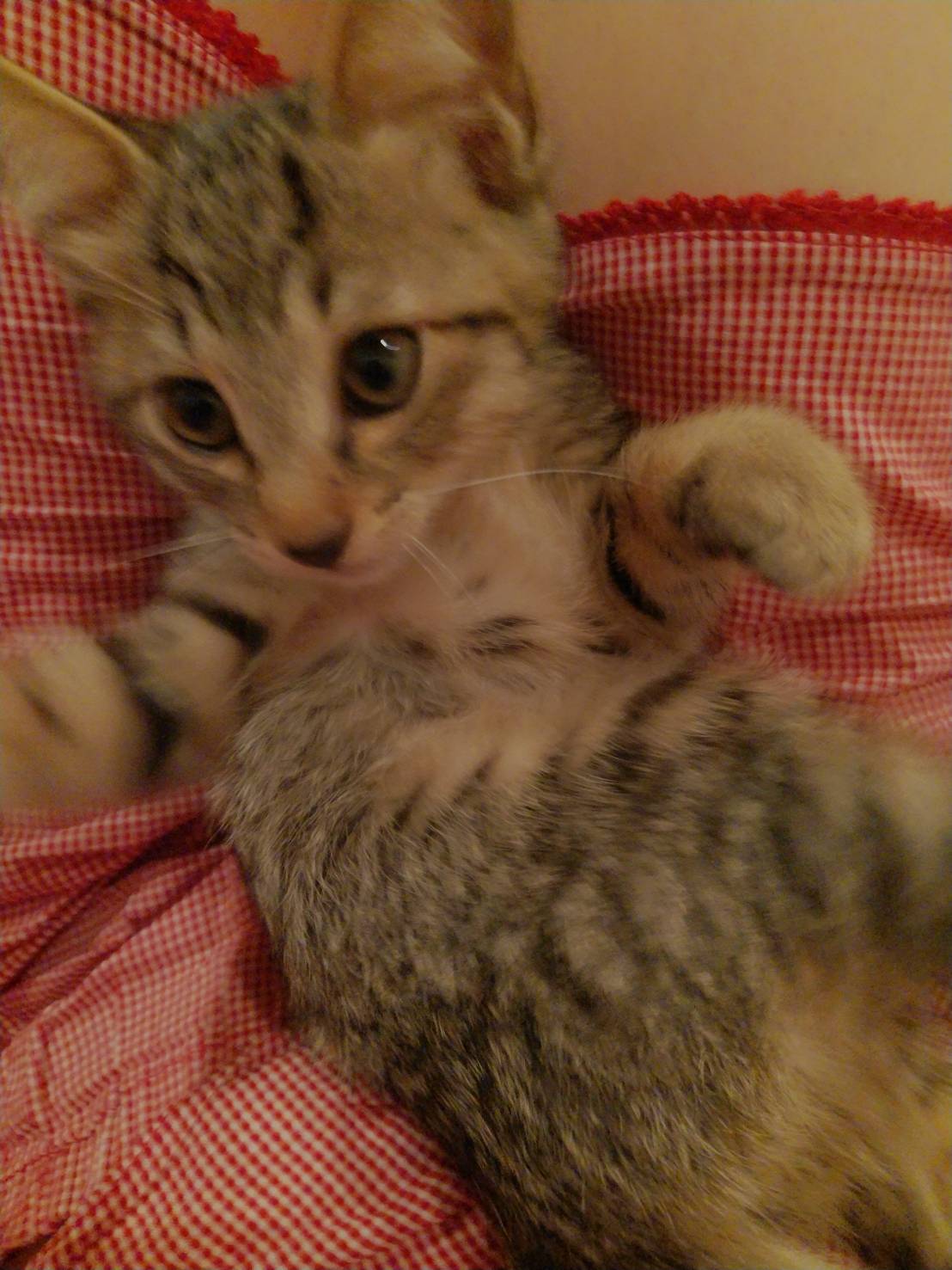 BFD8C354-5868-40DE-9873-8D92812A21E4