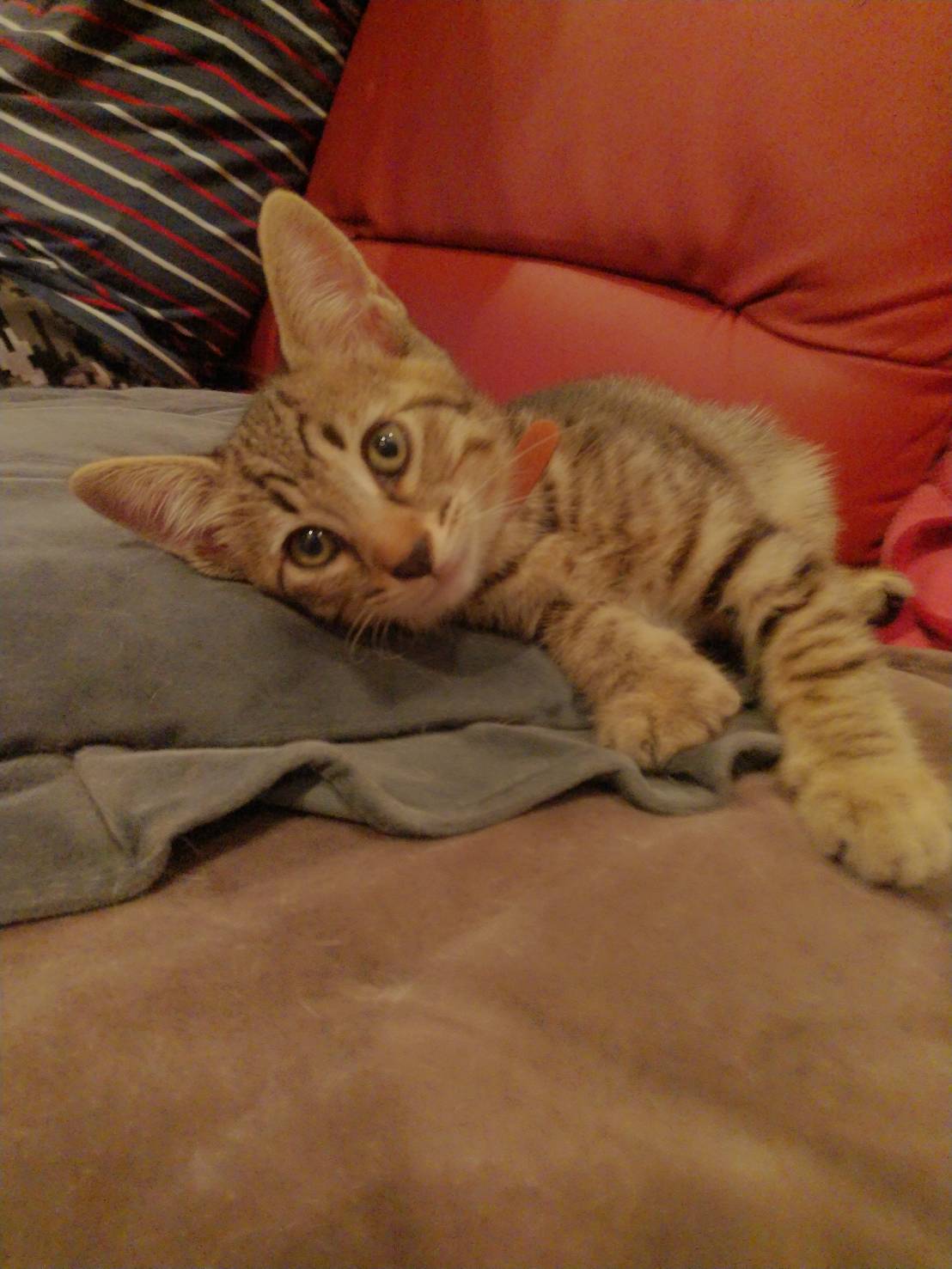 C554B2F3-8779-4C23-AB53-1CCCDFD4C63C