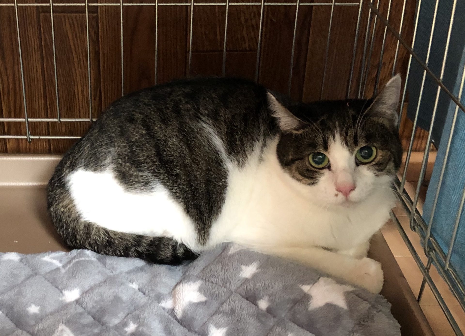 DC0B6F58-C089-4D80-A292-83DADE0426C2