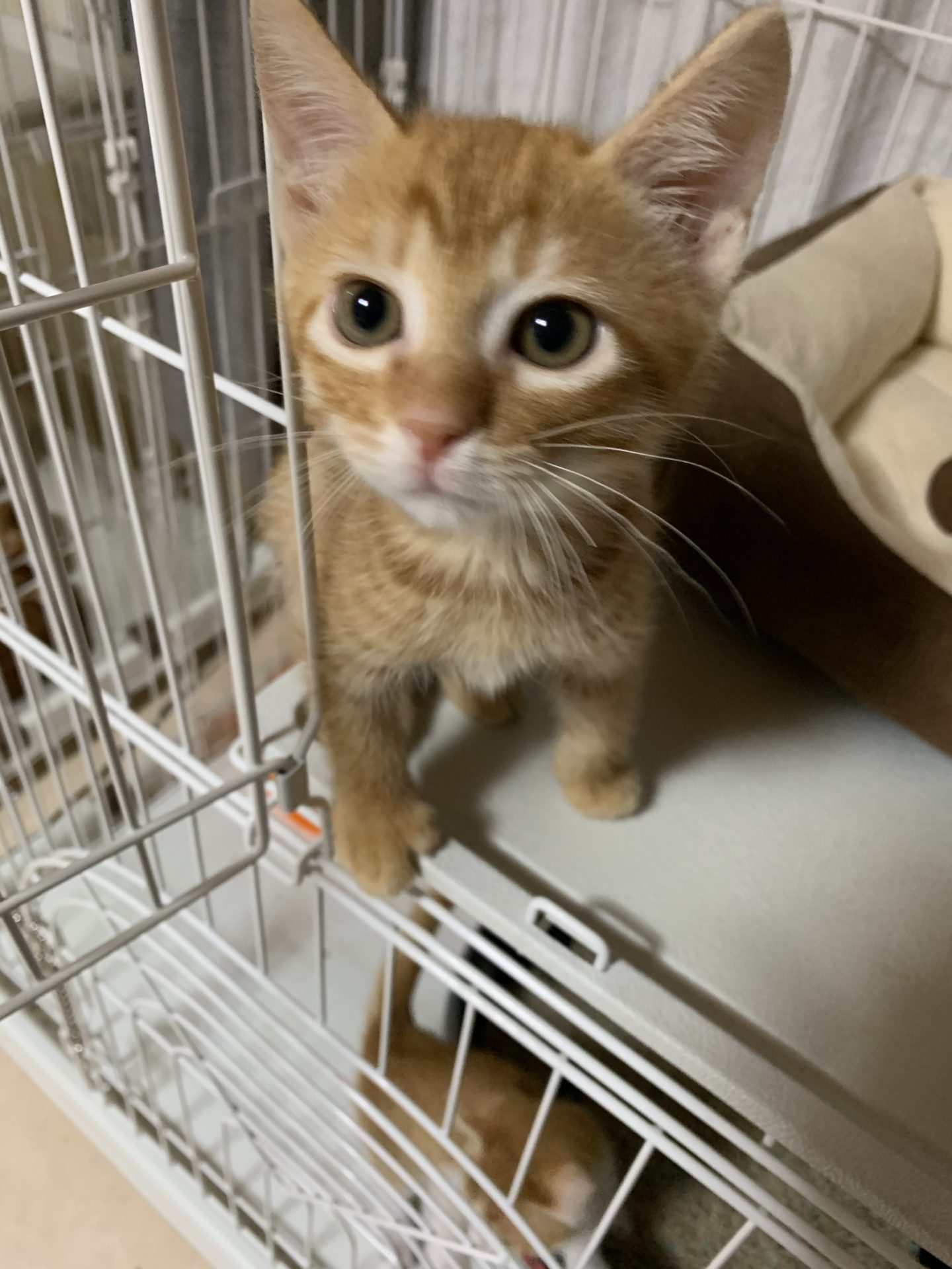 FA89EFCE-8D37-4D56-A085-BB33B77AD975