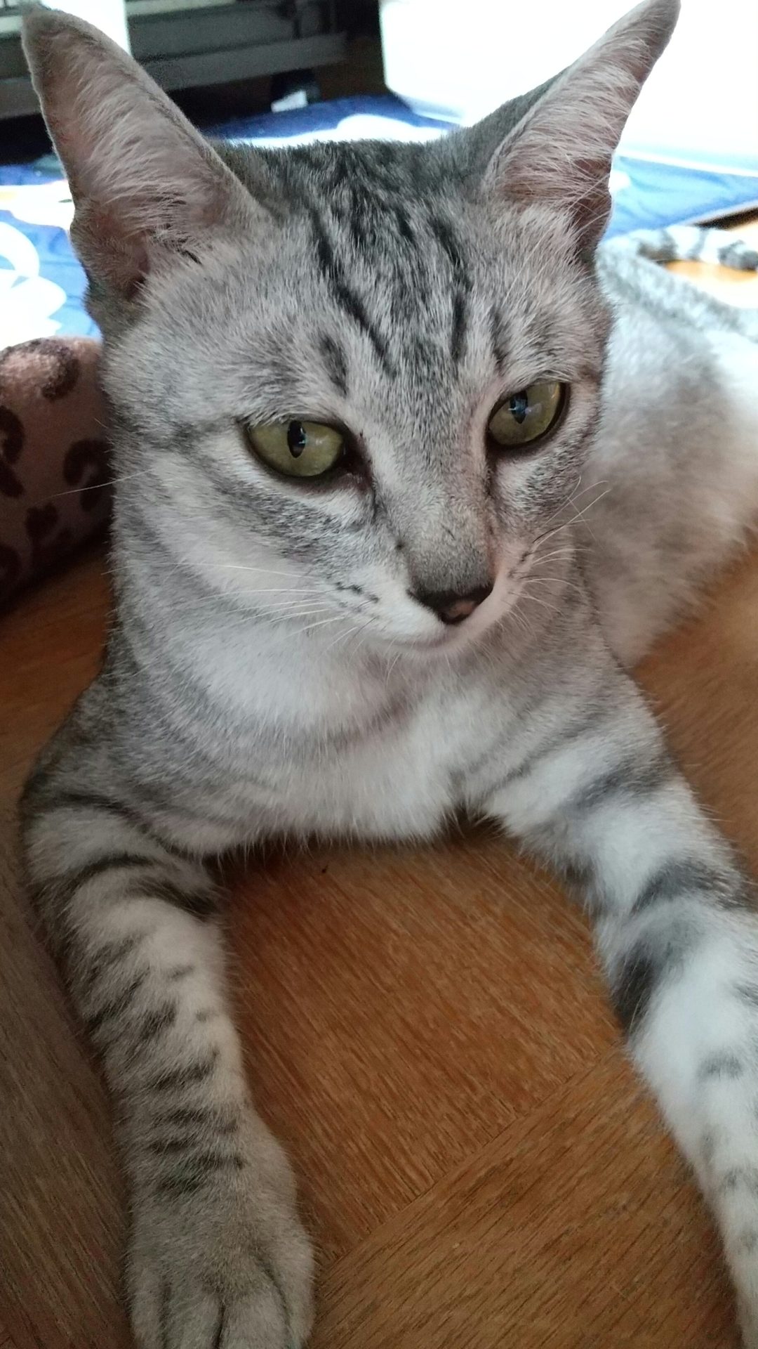 HORIZON_0002_BURST20200720075103249