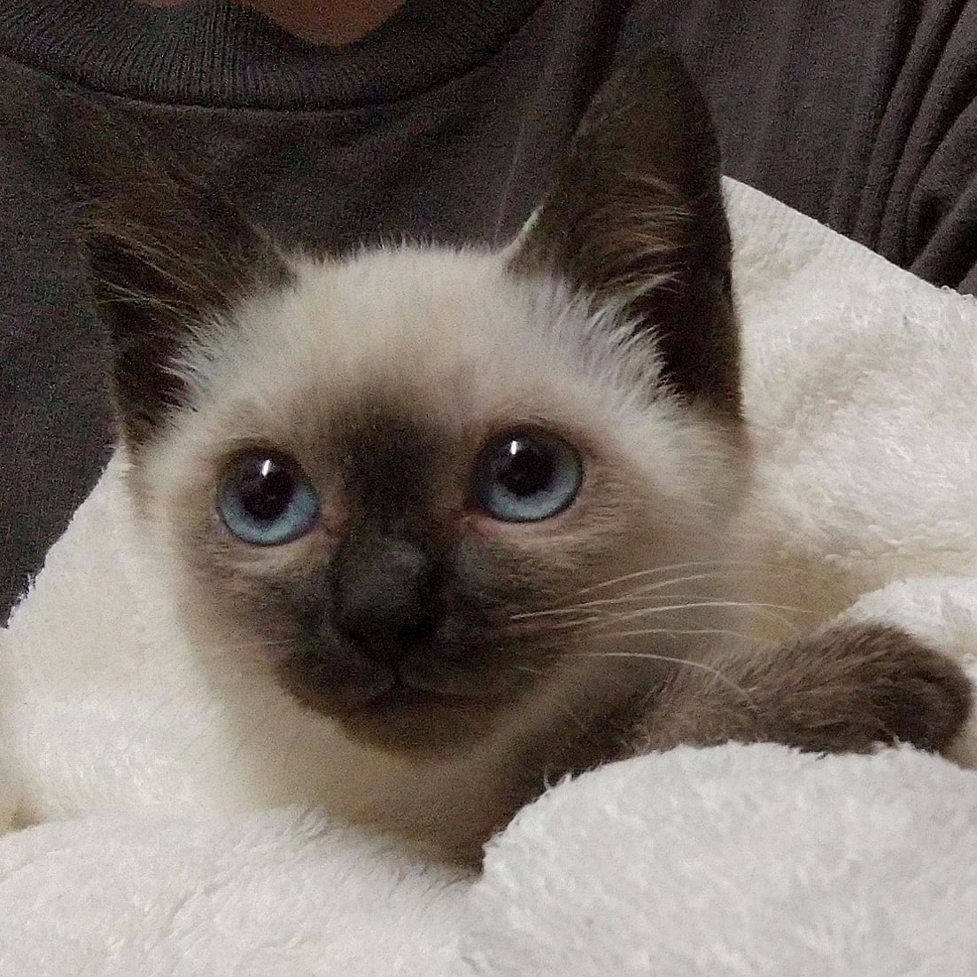 IMG_20200805_234943_532