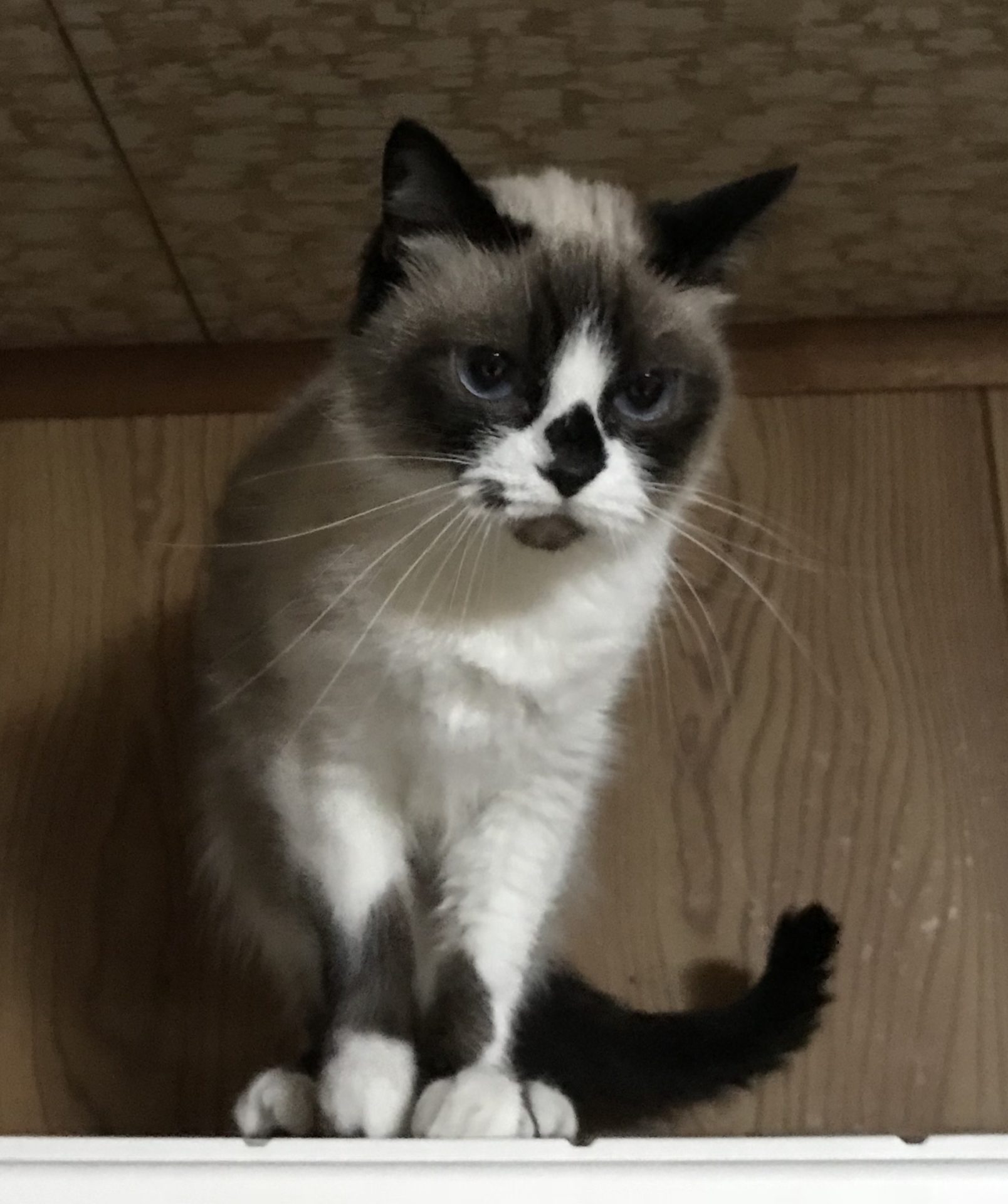 21DD9ACA-9F38-4720-A336-5BE7D3491032