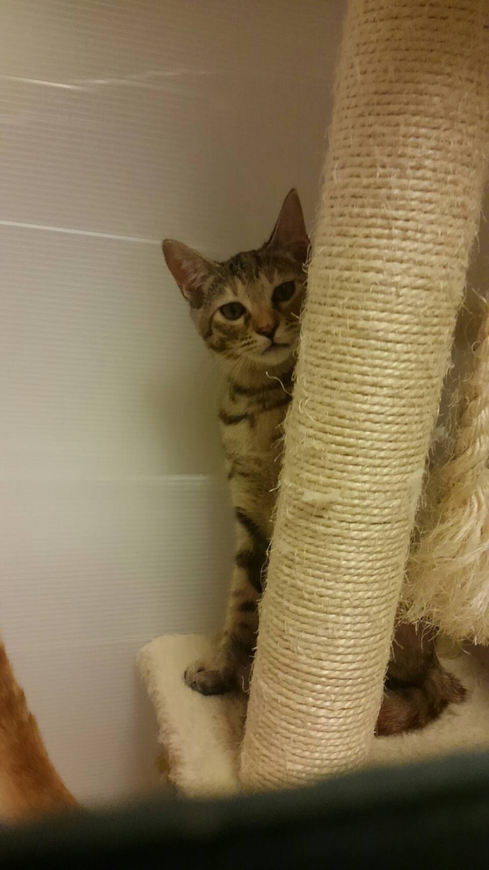 266B4DC2-E71E-4D7E-92EB-8AC69D7B0471