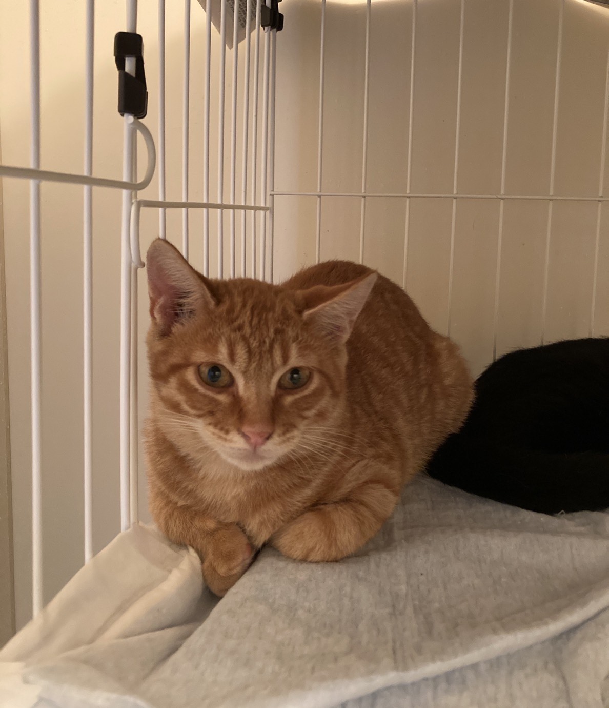 2D882E31-AC17-4332-83A1-12B5A11B07D0