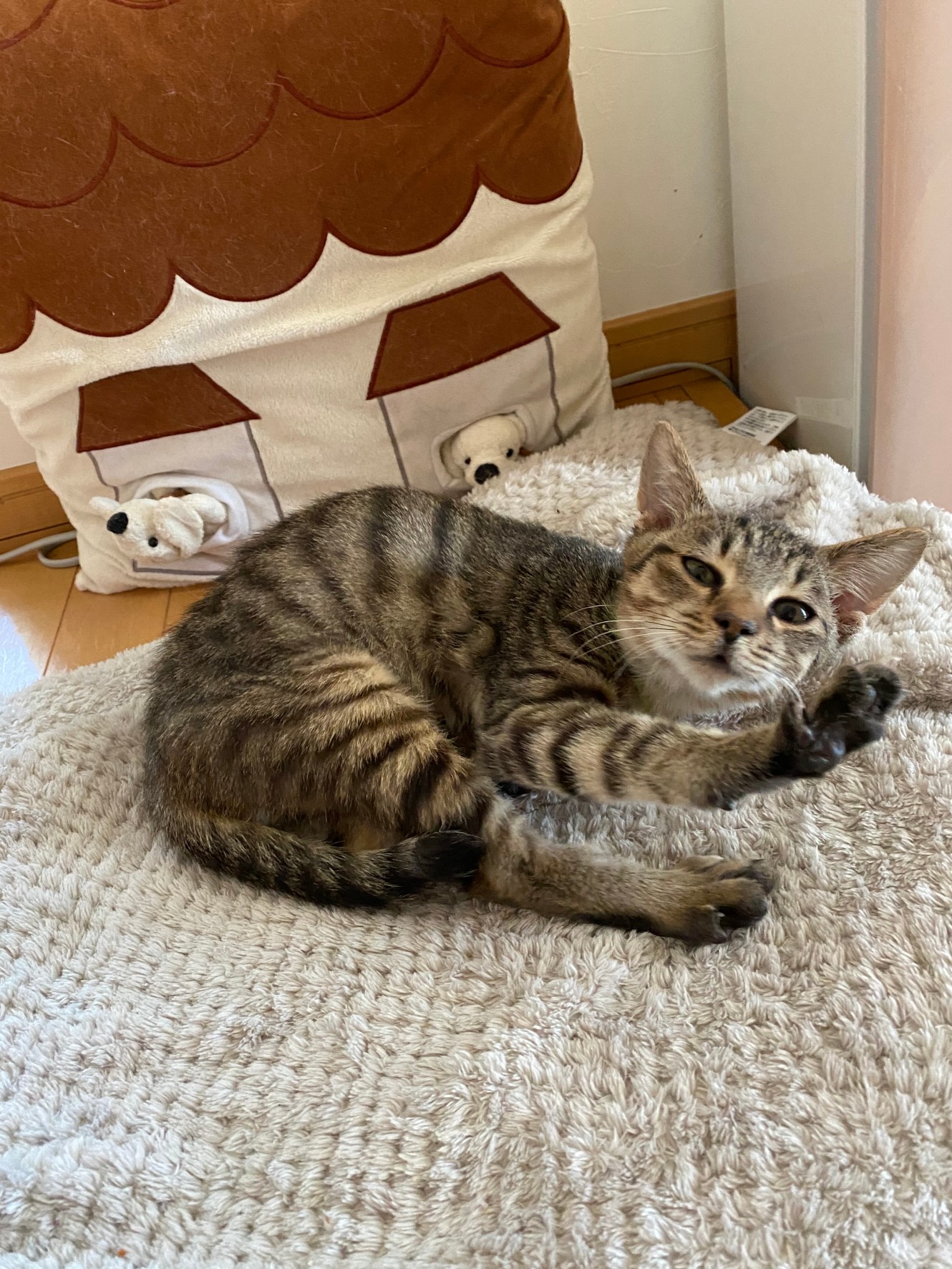 406C4FA8-F9EC-4381-80D3-9F3905936AA1