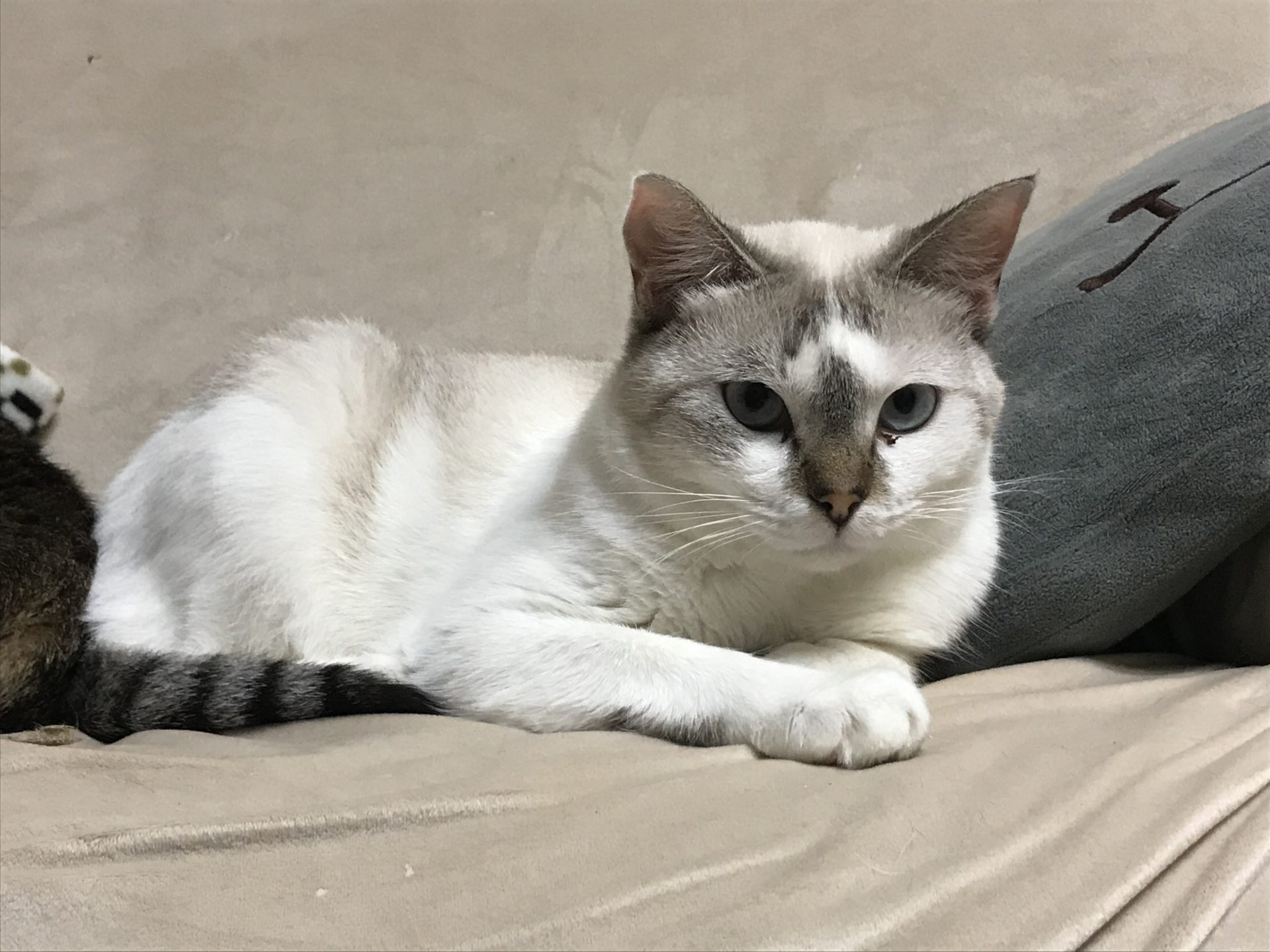 40DBA8FB-320A-4B6E-AED2-EAFAB5B011C6