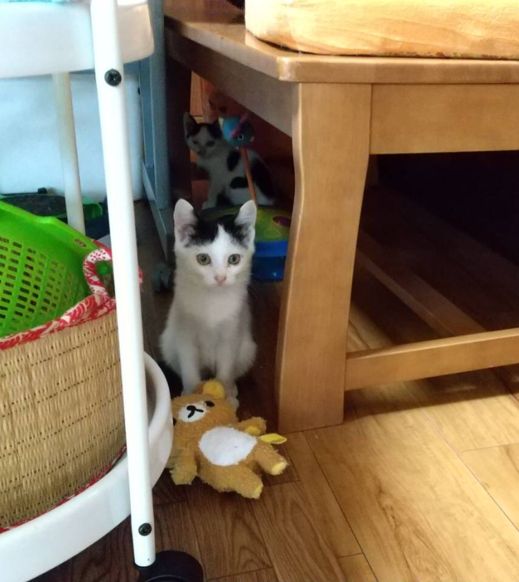 46B7A153-9543-4828-84E1-EDFD0D469C88