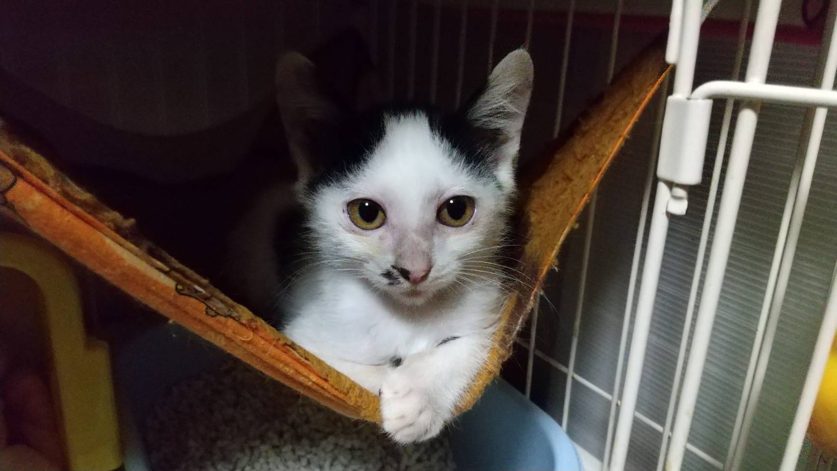 4FF4A037-576B-420A-A9CE-76B53BFED46F