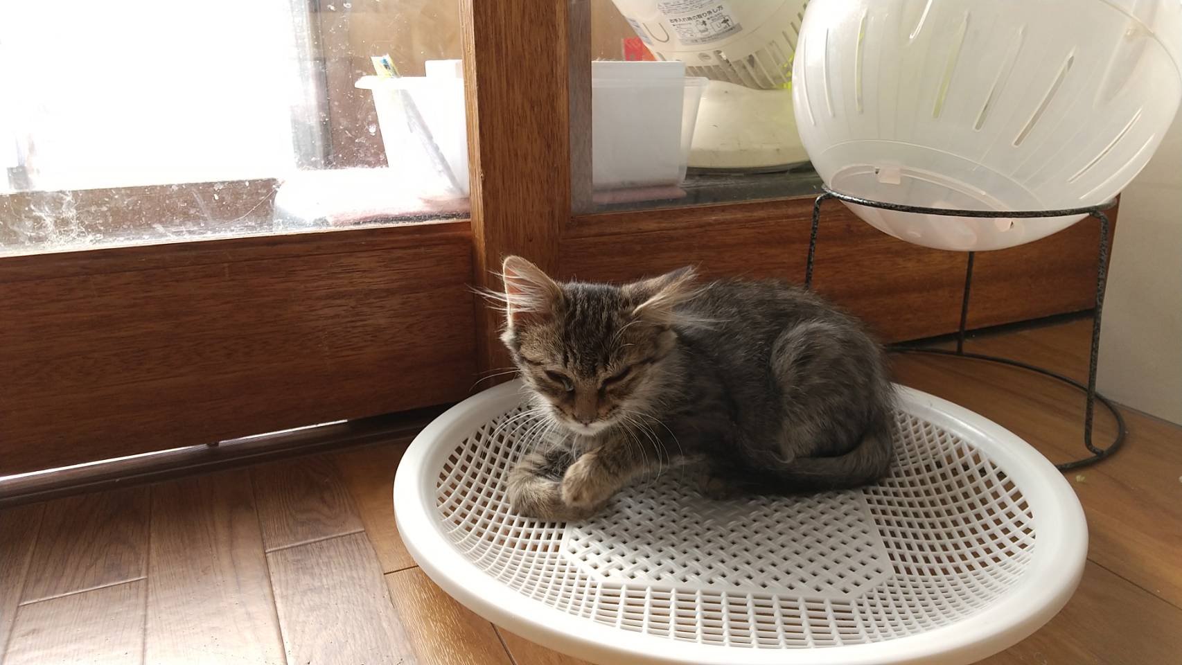 5211B35B-3896-4EBB-AFA7-D4EBEE3995FB