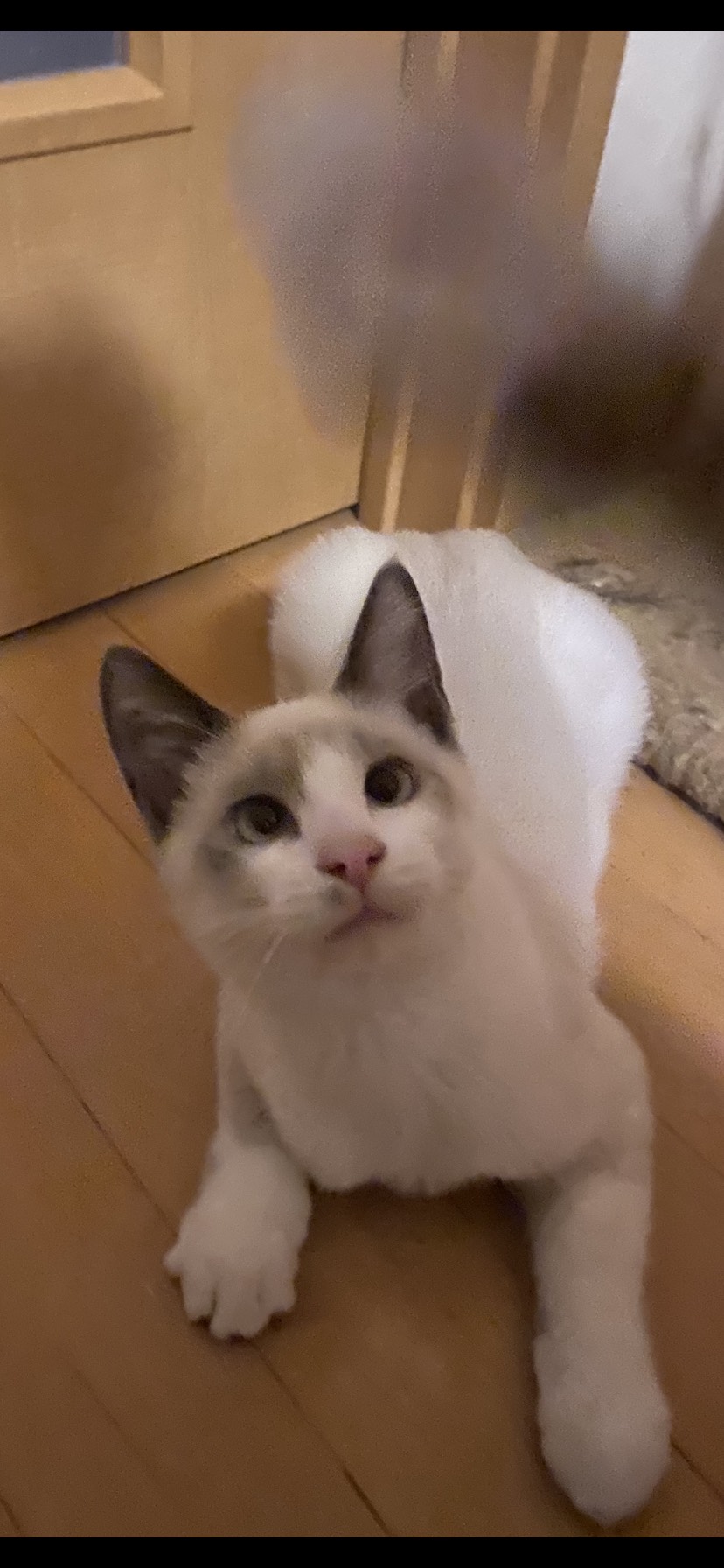 6E2CF2DE-DC0F-487A-A0A6-77D46067B59C