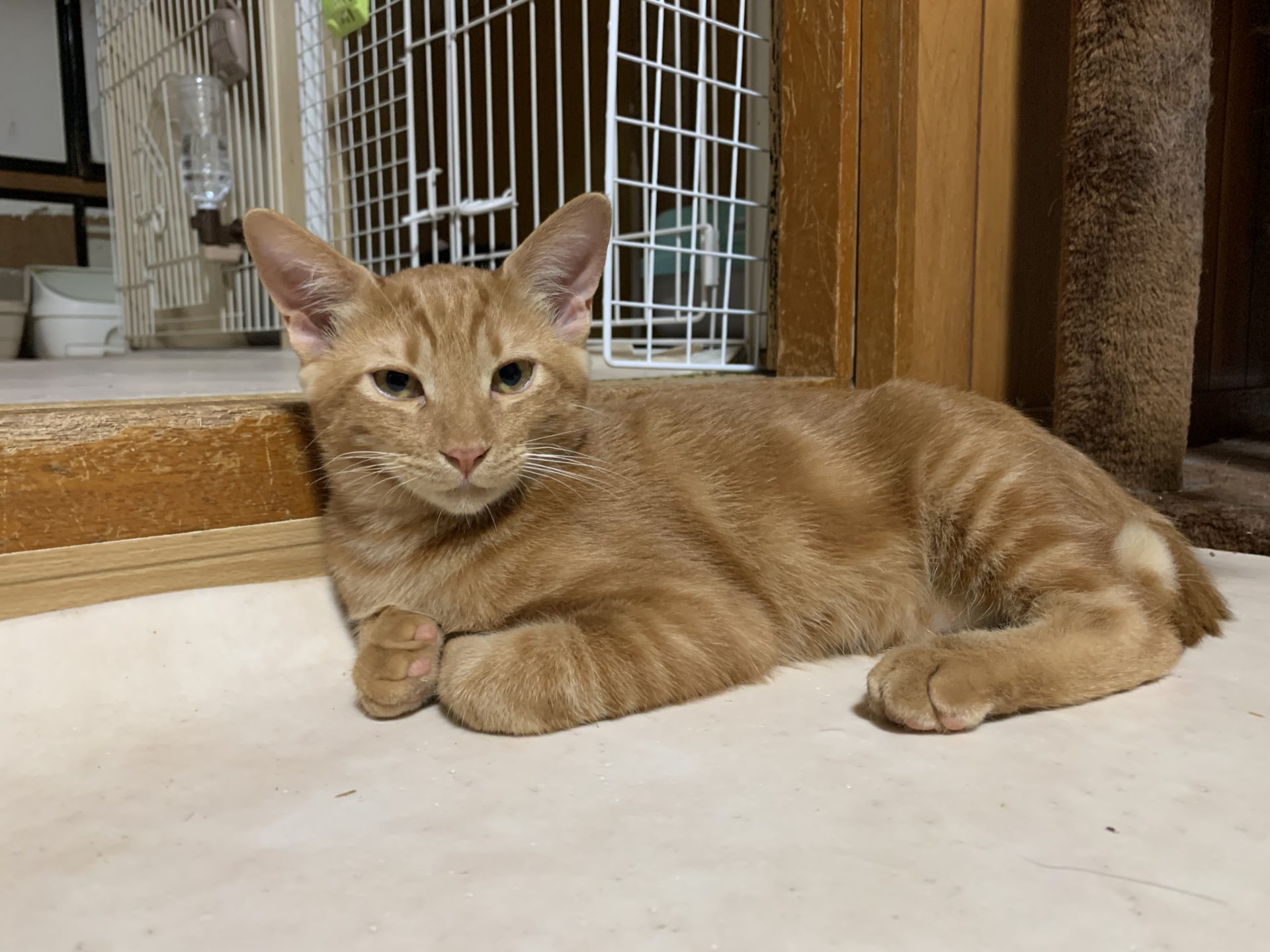 73893552-933E-4BF5-A0F6-1C64104E937E