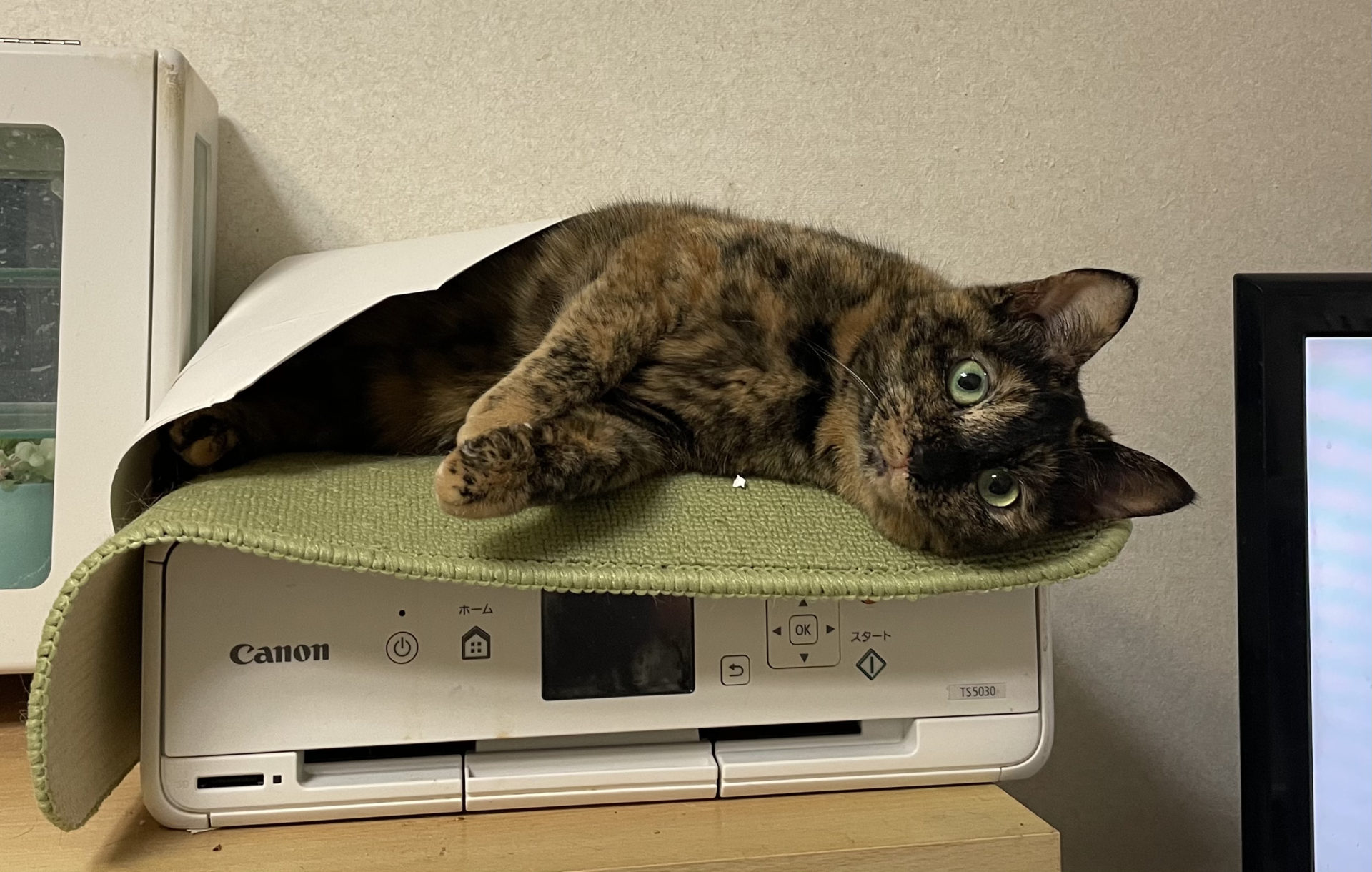 94CD3468-FDEC-49DB-8876-107607BC57C0