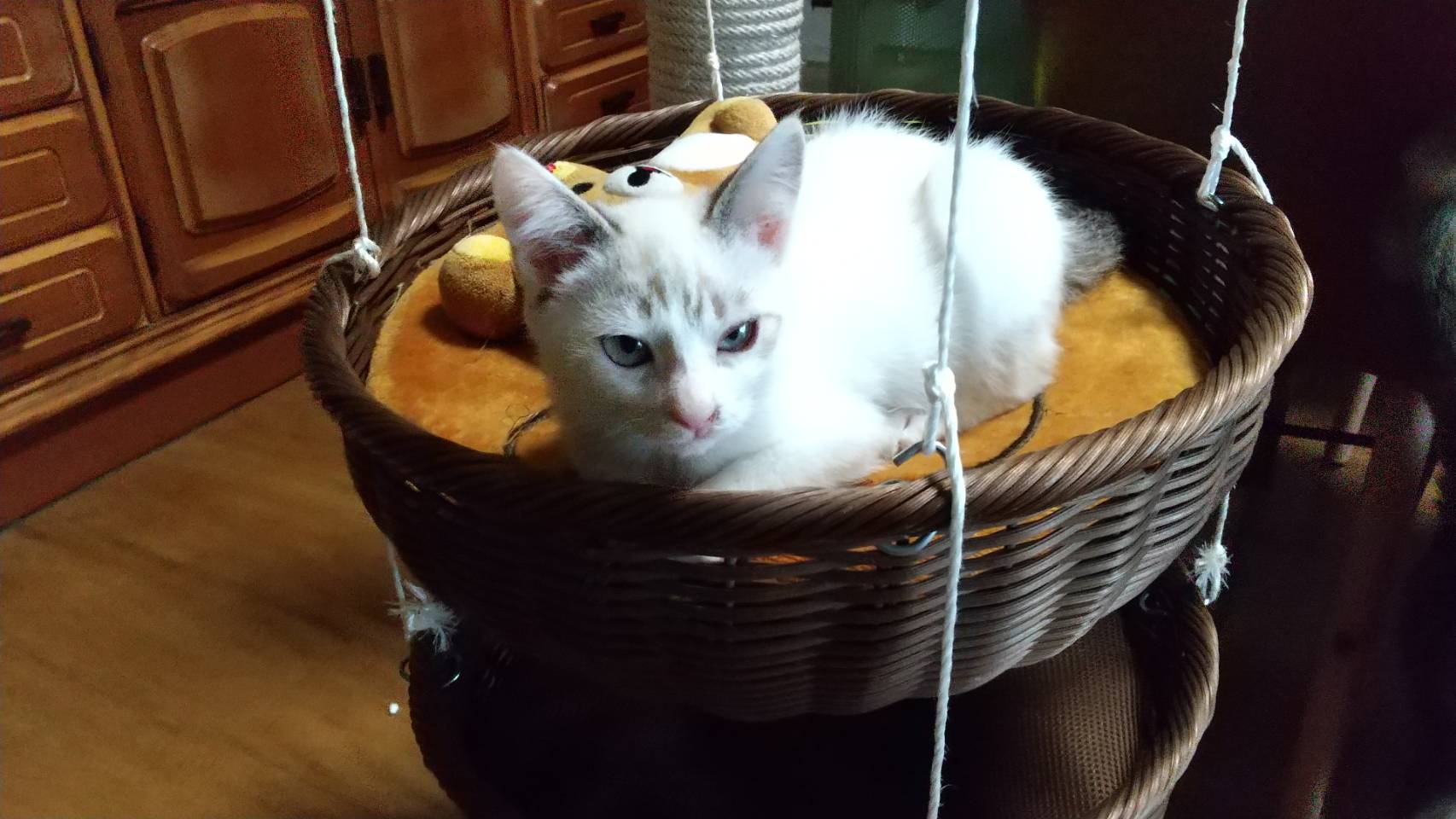 9CC6E1C5-6612-4564-97B1-6F2C3EA0EE3F