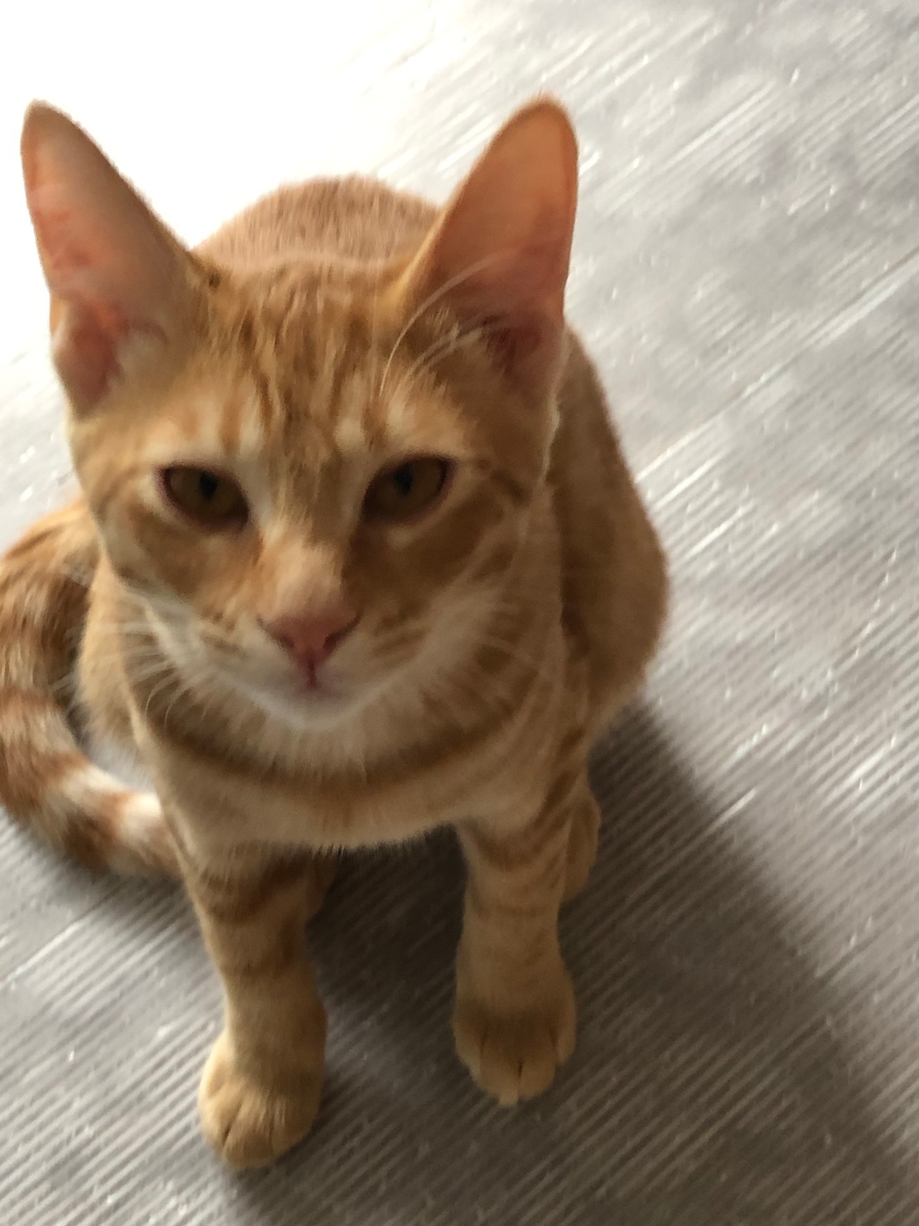 A803E2FD-2D0C-4784-AFA3-8679119172A9