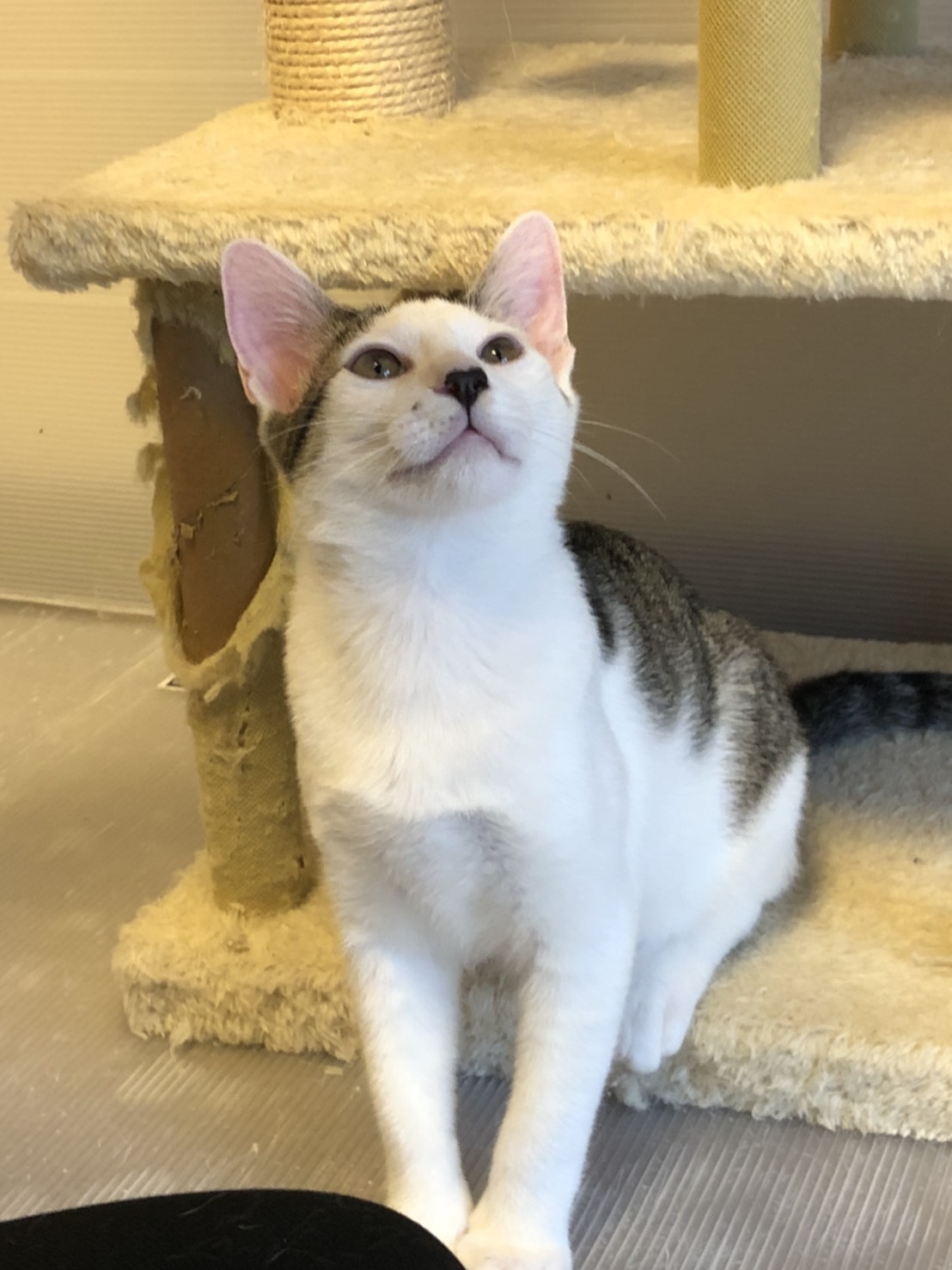 C86DCEF3-9C12-4F07-A244-AFE85CC77EE2