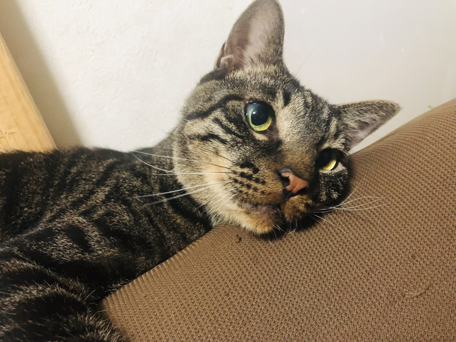 D0A25B10-3455-4181-A5E0-5449E73D3927