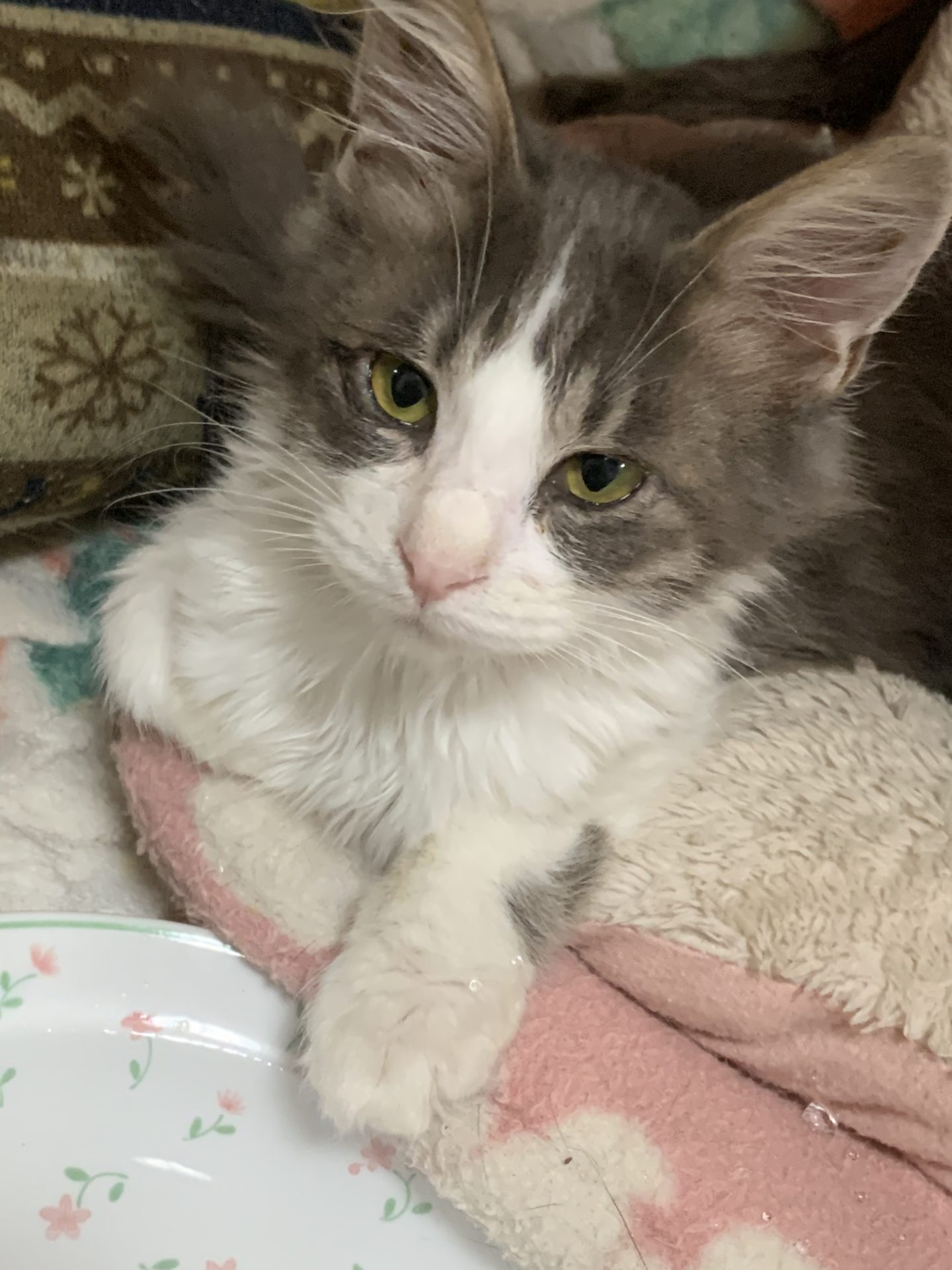 E0E95620-C2AC-47D1-8E35-558B862CF638