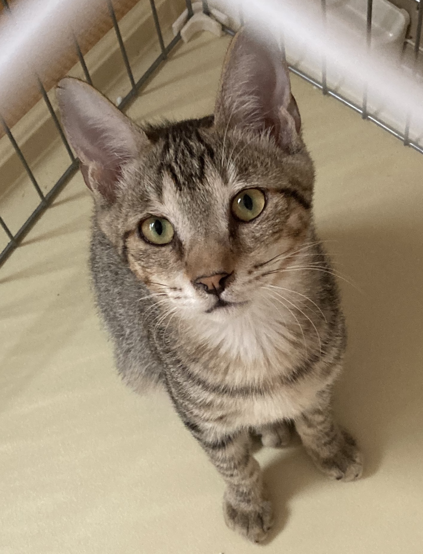 F014898A-C17E-4F3D-A688-CFFBD1E5A736