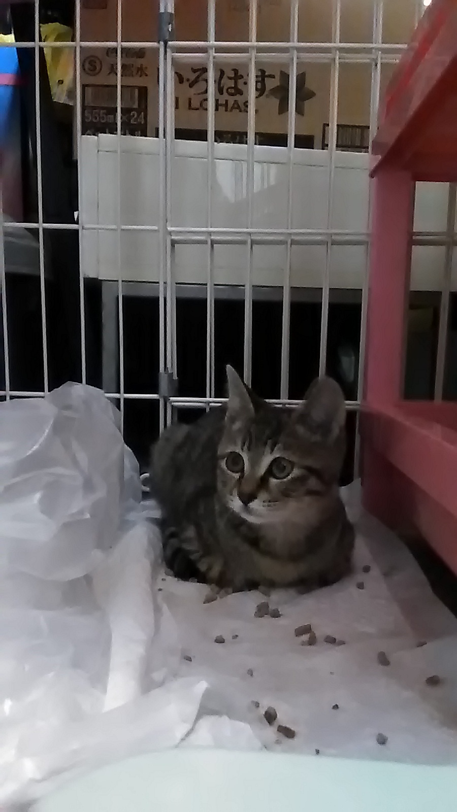 P_20201018_180512_LL