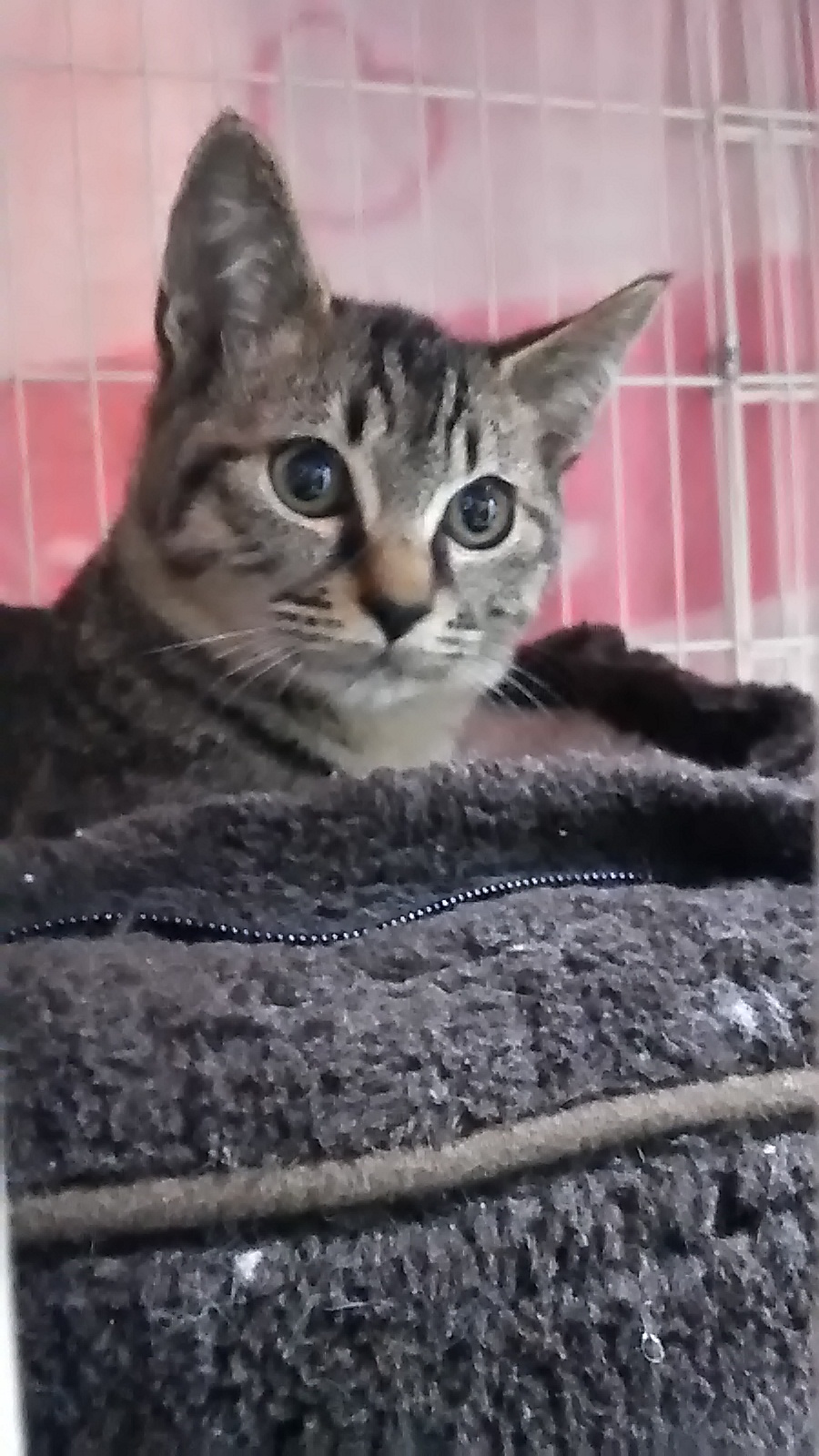 P_20201022_212401_LL