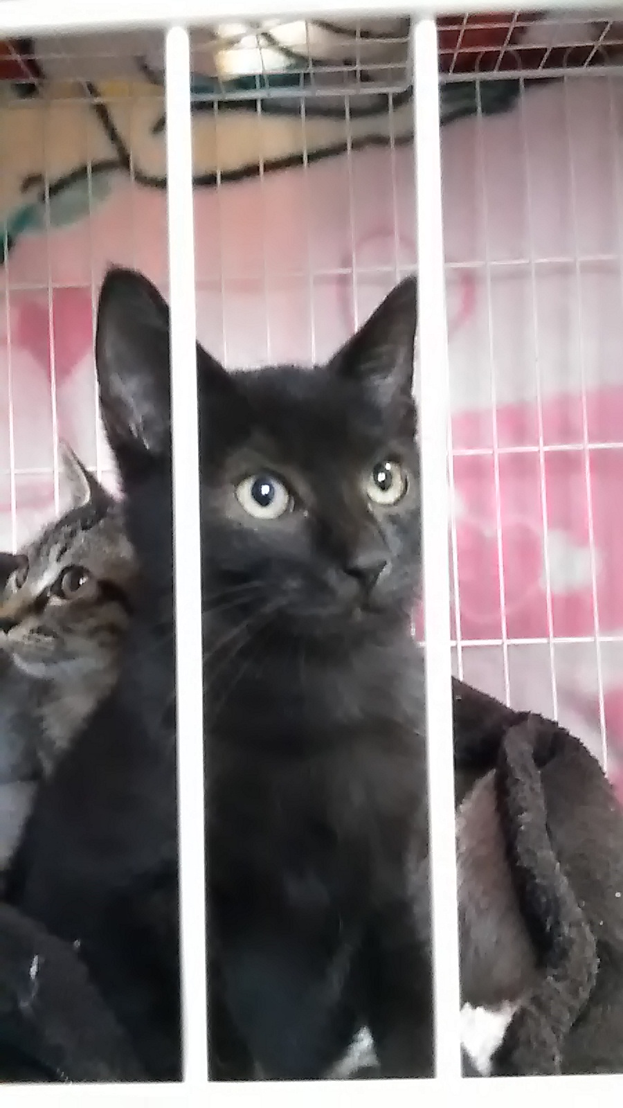 P_20201025_151139_LL