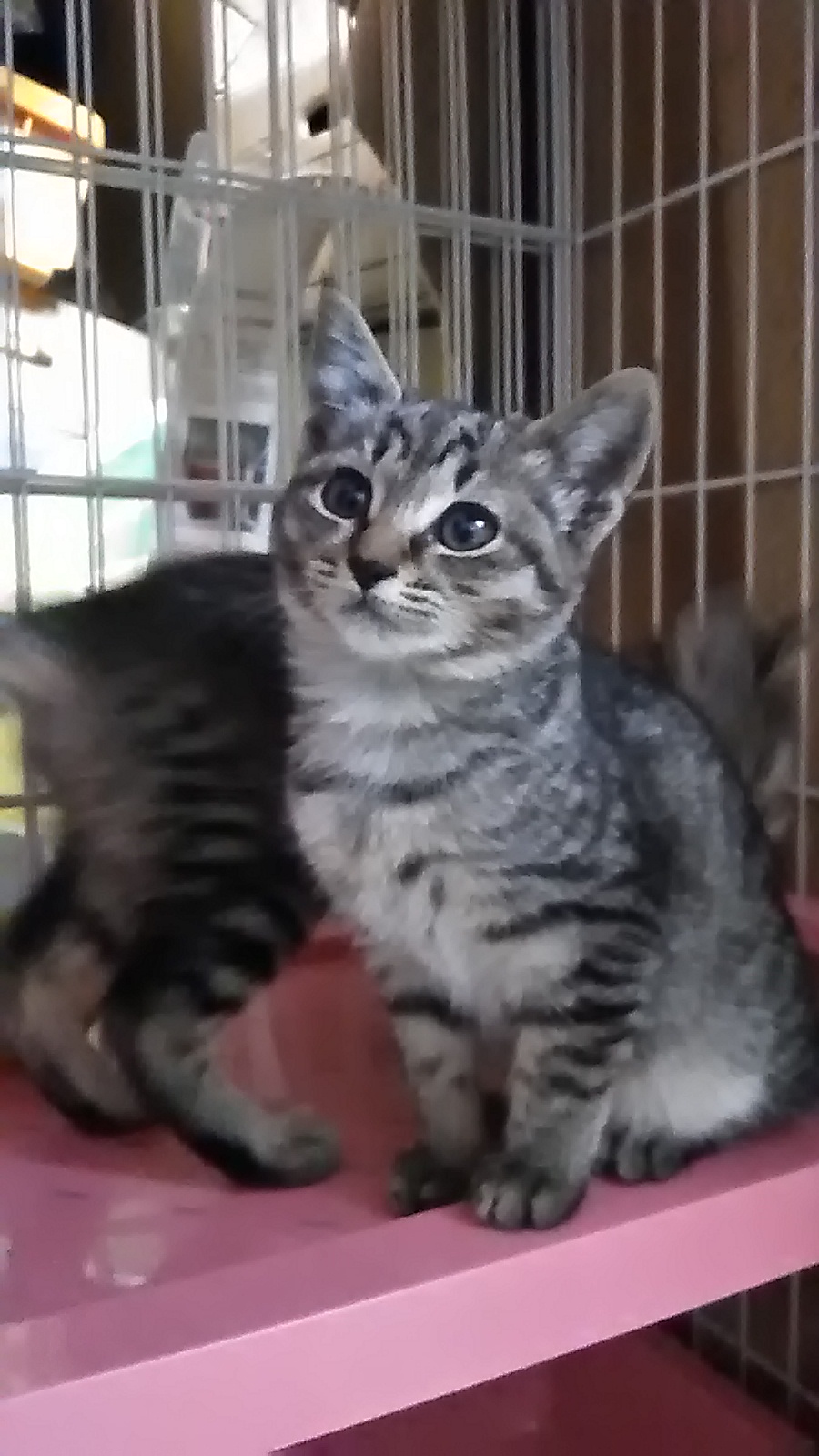 P_20201025_151255_LL